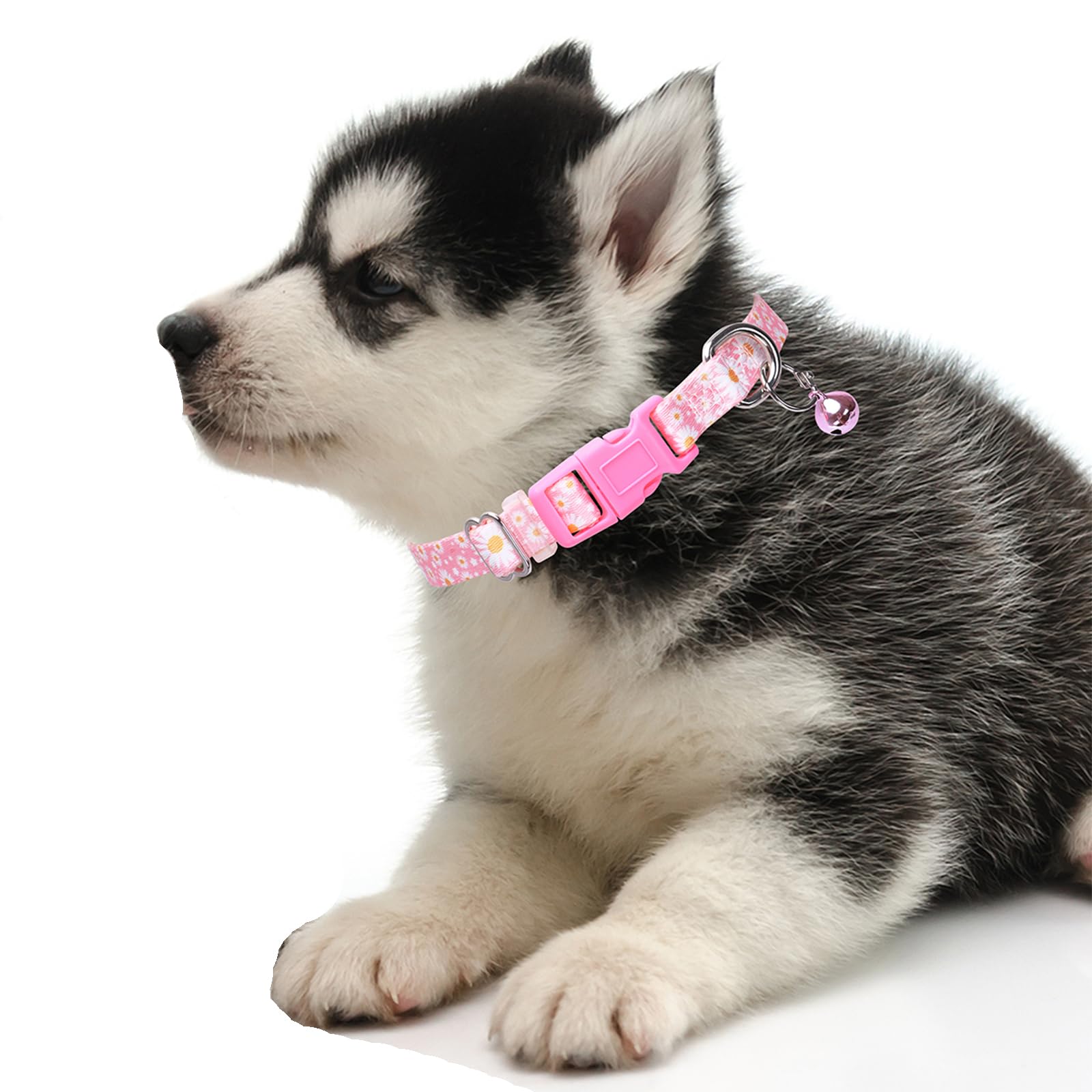 Pink Small Dog Collar With Bell, Pretty Floral Daisy Girl Cat Collar Flower Puppy Collars With Bells For Xs Small Tiny Pet Femal