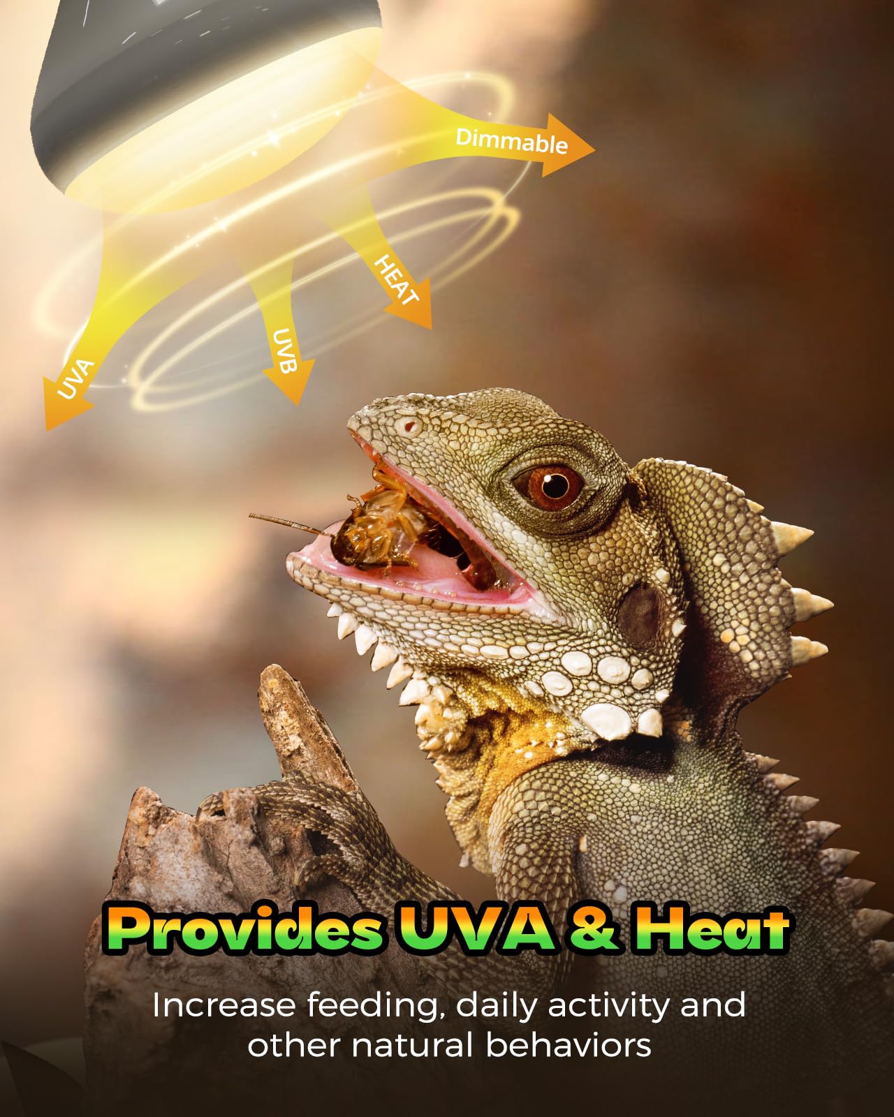 GAJUX Reptile Heat Lamp 2 Pack, 100W Heat Lamp Bulbs for Reptiles, Amphibians Basking Heat Lamp Bulbs, UVA Daylight Basking Ligh