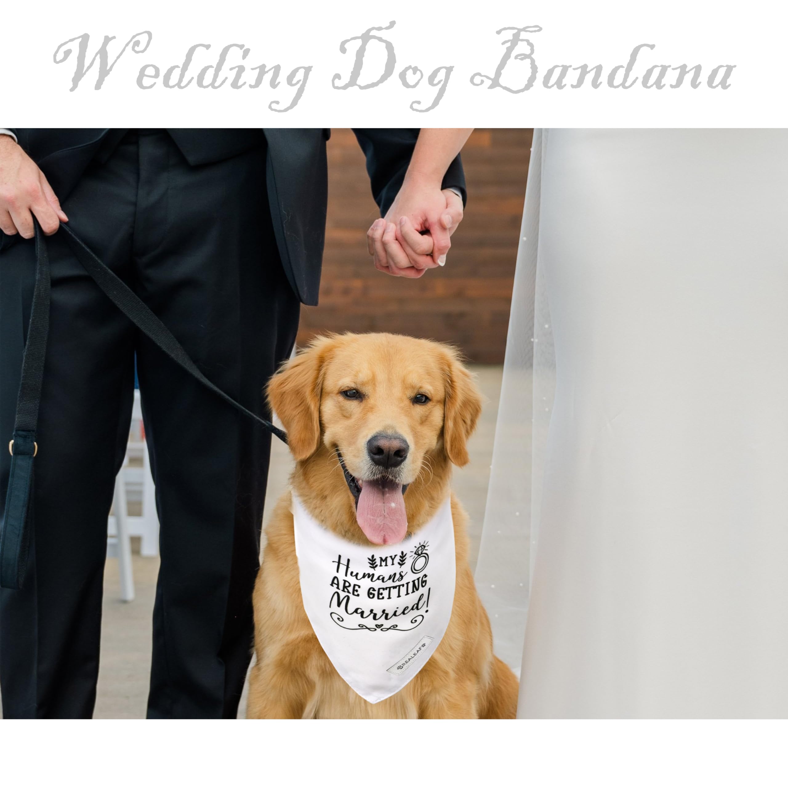 Realeaf Engagement Gift, My Humans Are Getting Married Dog Bandana, Dog Wedding Outfit For Boy And Girl, Premium Durable Fabric,
