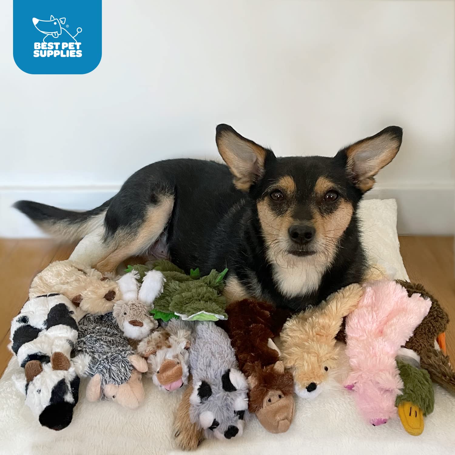 Best Pet Supplies 2-In-1 Stuffless Squeaky Dog Toys With Soft, Durable Fabric For Small, Medium, And Large Pets, No Stuffing For Indoor Play, Supports Active Biting And Play - Monkey, Squirrel, Small