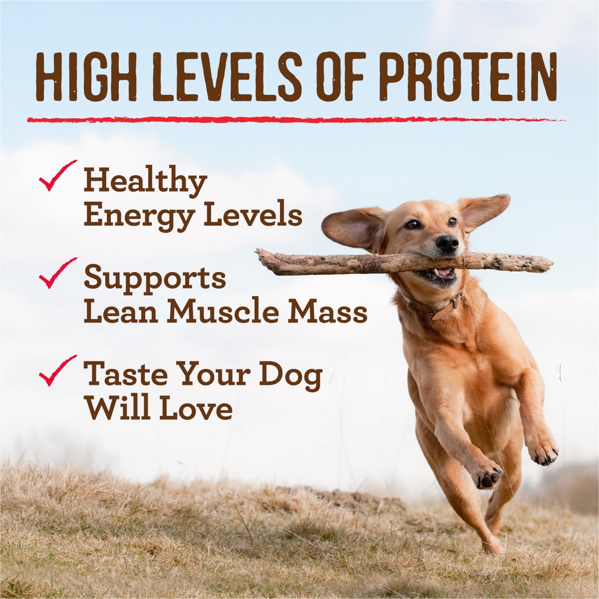 Merrick Grain Free Premium And Natural Canned Dog Food, Soft And Healthy Wet Recipe, Real Duck Dinner - (Pack of 12) 12.7 oz. Ca