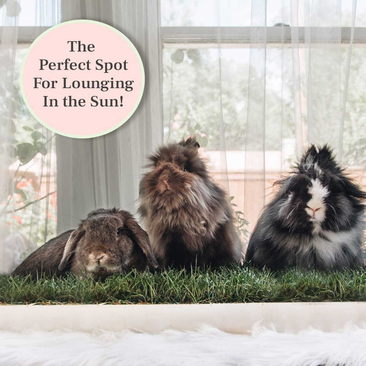 Doggielawn Real Grass Puppy Pee Pads- 24 X 9 Inches - Perfect Indoor Litter Box For Dogs - No Mess, Easy-To-Use - Potty Training For Pets - Eco-Friendly Disposable Bathroom With Real Living Grass