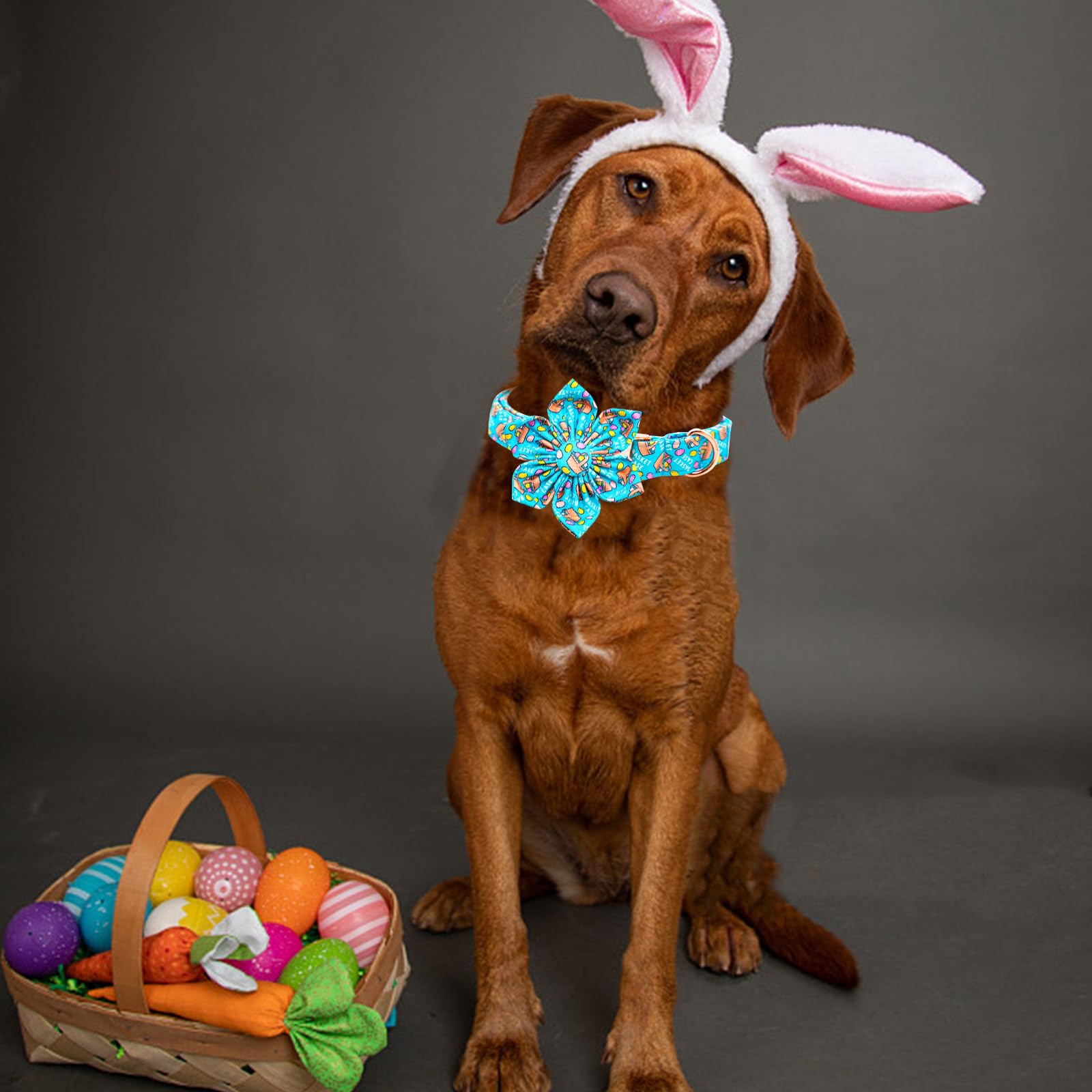 Lionheart Glory Easter Day Flower Dog Collar For Medium Dogs, Colorful Spring Collar With Easter Egg Design