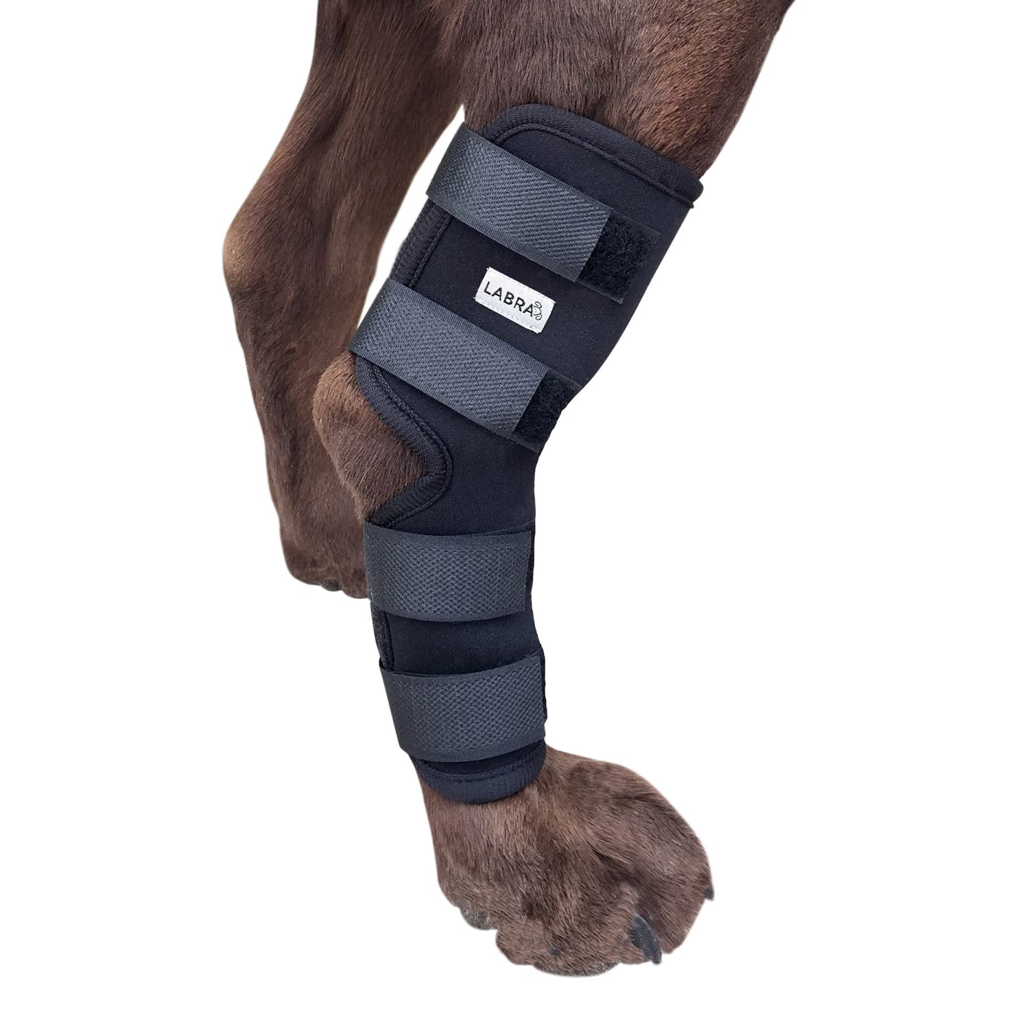 Labra Dog Extra Supportive Canine Rear (Hind) Leg Hock Joint Compression Wrap for Recovery, Protection, and Sprain and Injury Pr