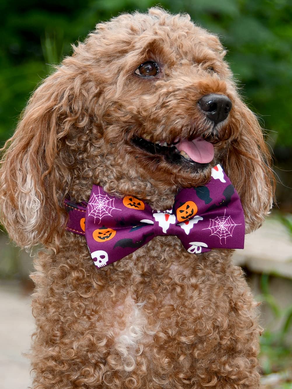 Nesttimes Halloween Bats,Ghosts,Black Cats And Pumpkins Dog Bow Tie Dog Collar,Detachable Bowtie, Adjustable Collar For Small Medium Large Dogs, L(14 --21'')