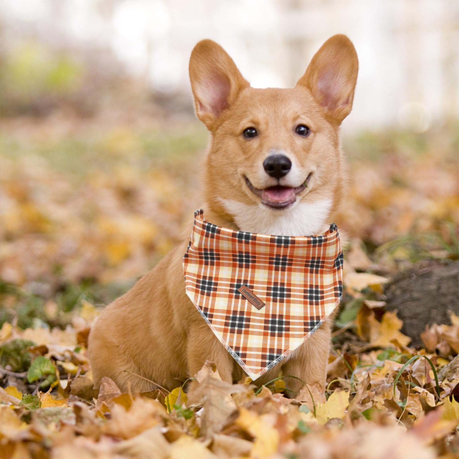 Lionheart Glory Dog Bandana 1 Pack Washable Soft Plaid Dog Scarf, Fall Bib Scarf Boy Girl Bandana Square Plaid Dog Bandanas For