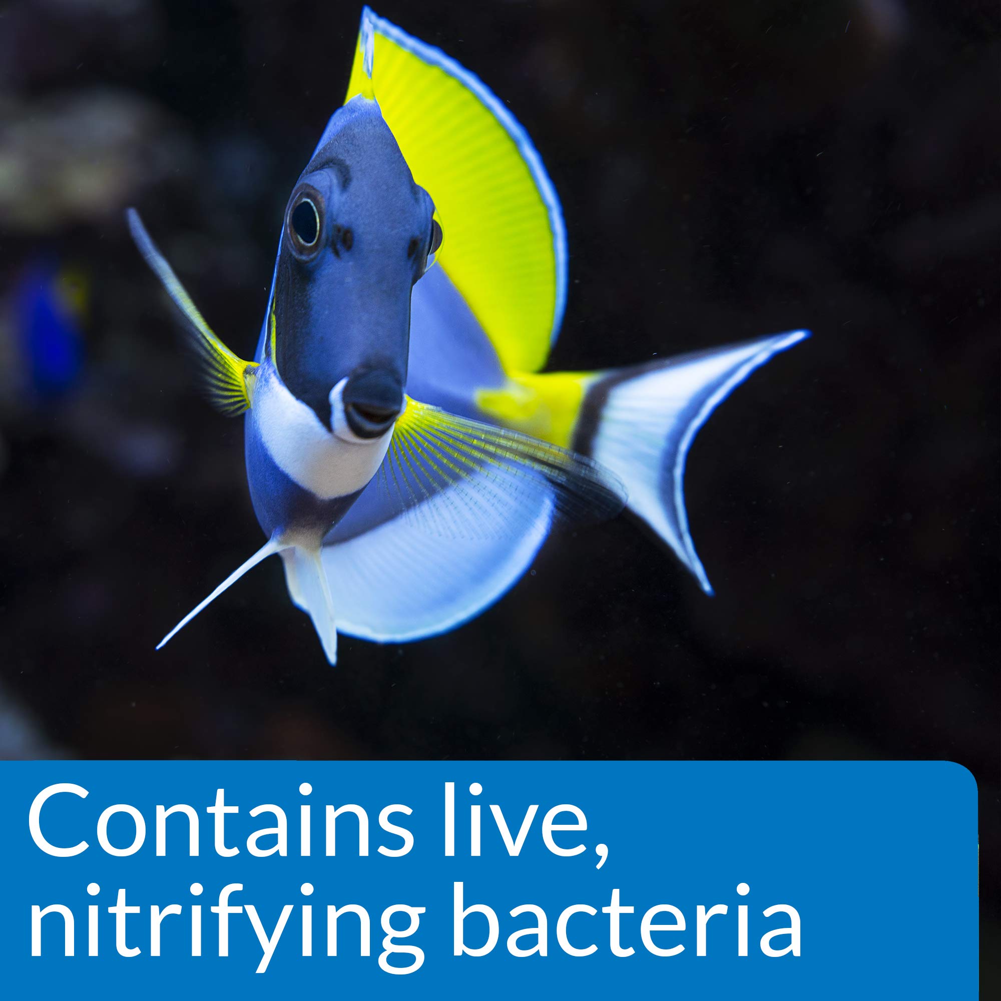 Api Marine Quick Start Saltwater And Reef Aquarium Nitrifying Bacillus 16-Ounce Bottle