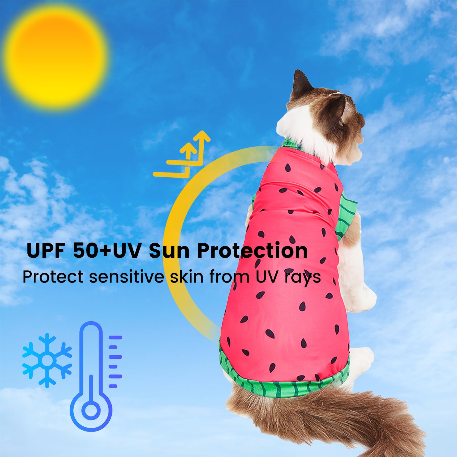 Sphynx Cat Watermelon Shirt &Sun Hat For Summer, Cooling Breathable Upf 50+ Shirt For Cats & Small Dogs Apparel, Shirt And Hat S