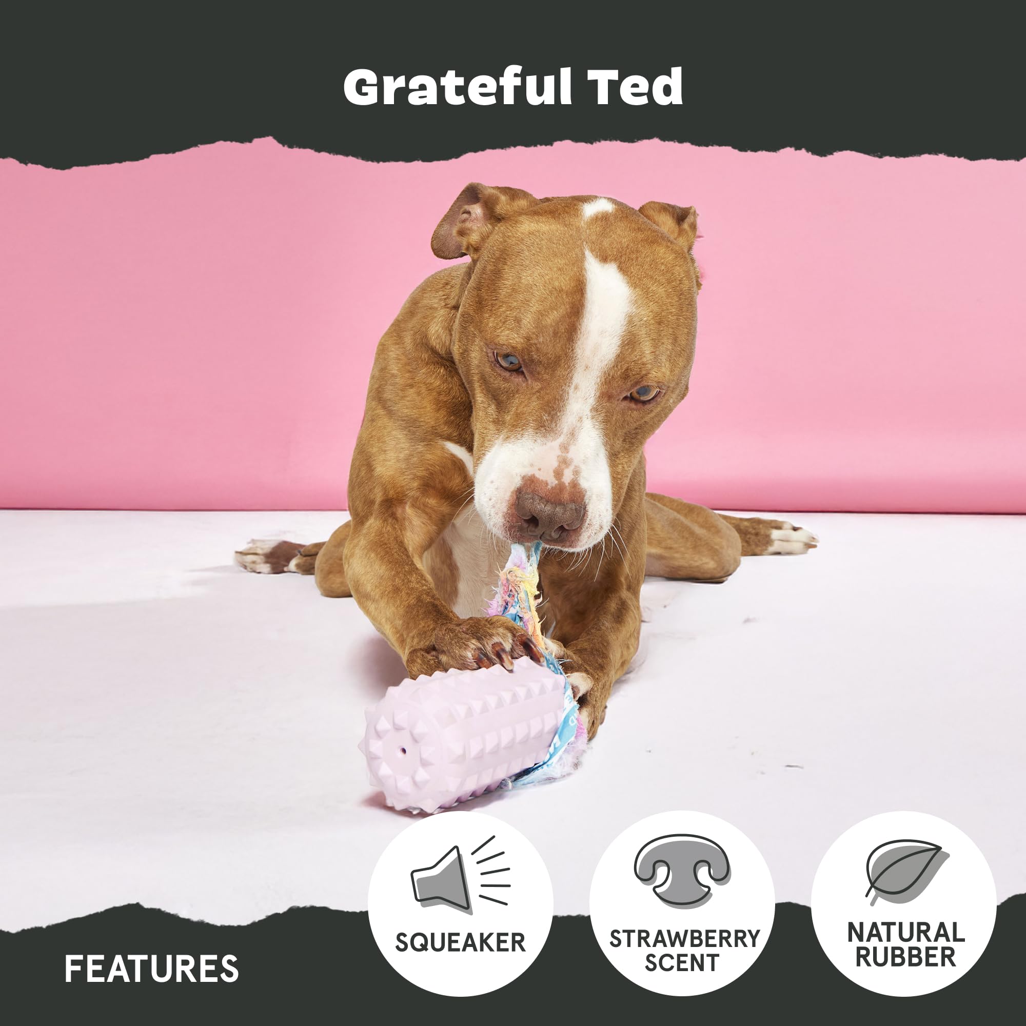 Barkbox Grateful Ted Dog Toy For Medium Dogs - Strawberry-Scented Rip & Reveal Toy For Determined Chewers And Interactive Playti