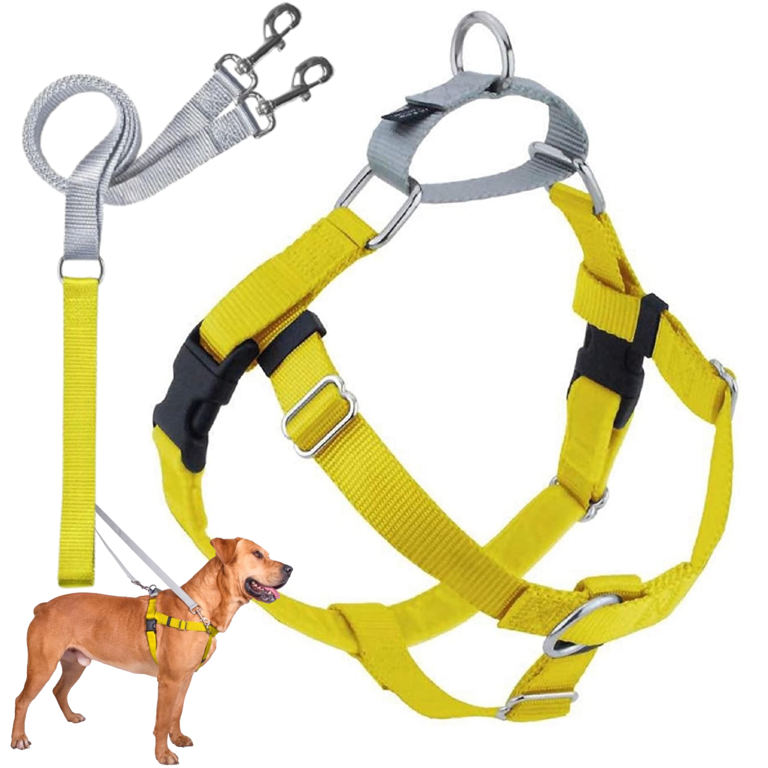 2 Hounds Design Freedom No Pull Dog Harness, Adjustable Harness And Leash Set, Easy Walking & Comfortable Control, Fits Small, Medium & Large Dogs, Solid Colors, Made In Usa, 1' Xl, Yellow