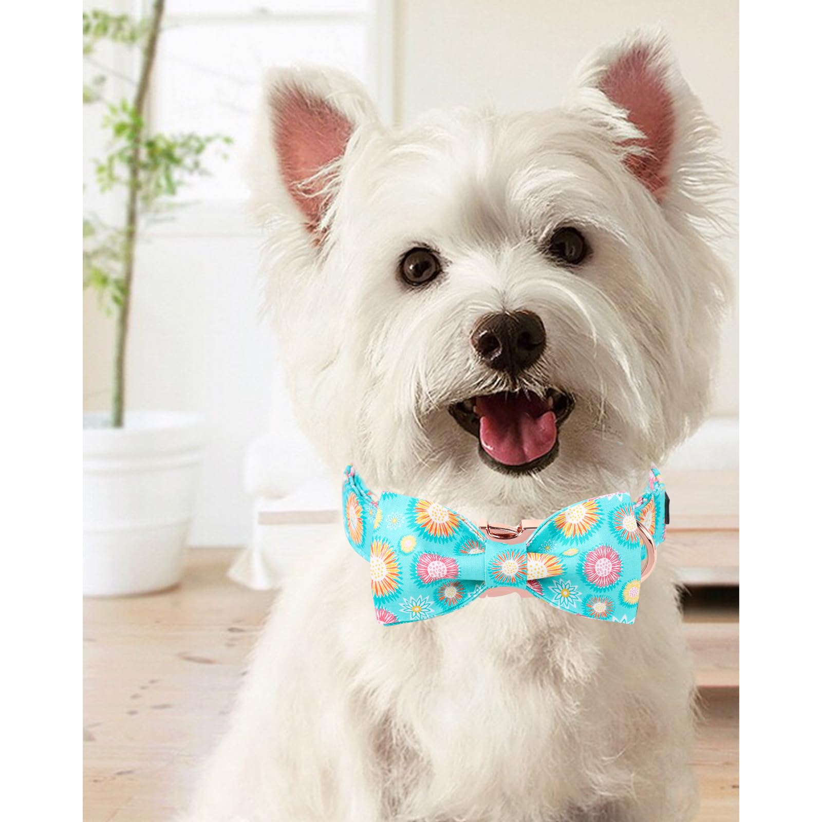 Unique Style Paws Summer Dog Collar With Bow, Cute Sunflower Bow Tie Dogs Collar,Blue Dog Bows For Girl,Boy Dogs,L,16-24In