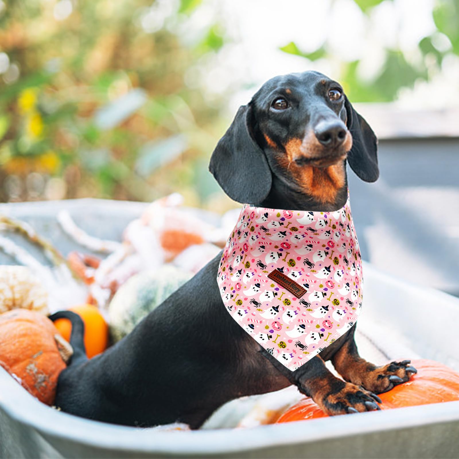 Lionheart Glory Fall Plaid Dog Scarf - Washable, Soft, Square, Adjustable Bandana For Medium To Large Dogs - Halloween Theme