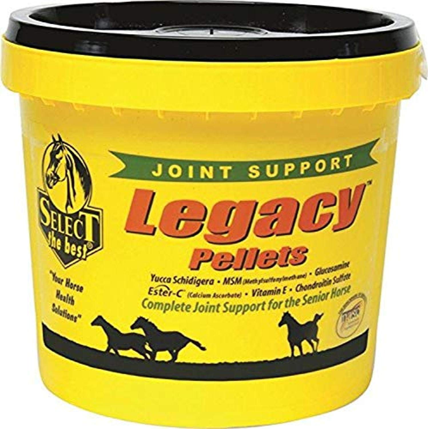 YFCACT RICHDEL 784299542006 Legacy Pellets Joint Support for Senior Horses, 20 lb