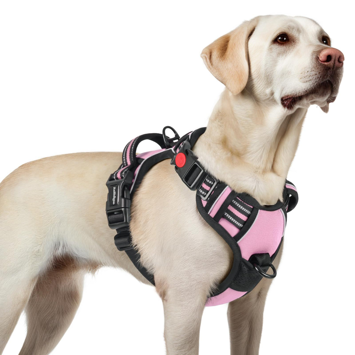 Rabbitgoo Dog Harness For Large, No Pull Pet Harness With 3 Buckles, Adjustable Soft Padded Pooch Vest With Instant Control Handle, Easy Walking Reflective Pet Vest For Large Dogs, Pink, L