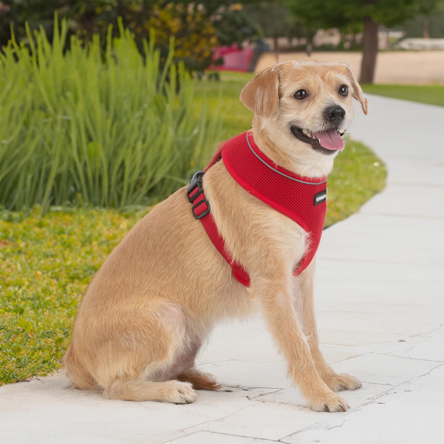 Voyager Aerolite No Pull Mesh Dog Harness With Lightweight, Soft, Breathable, Reflective Stitching, And Adjustable Straps For Walking, Running, Training, Heavy Duty And Durable - Red, S