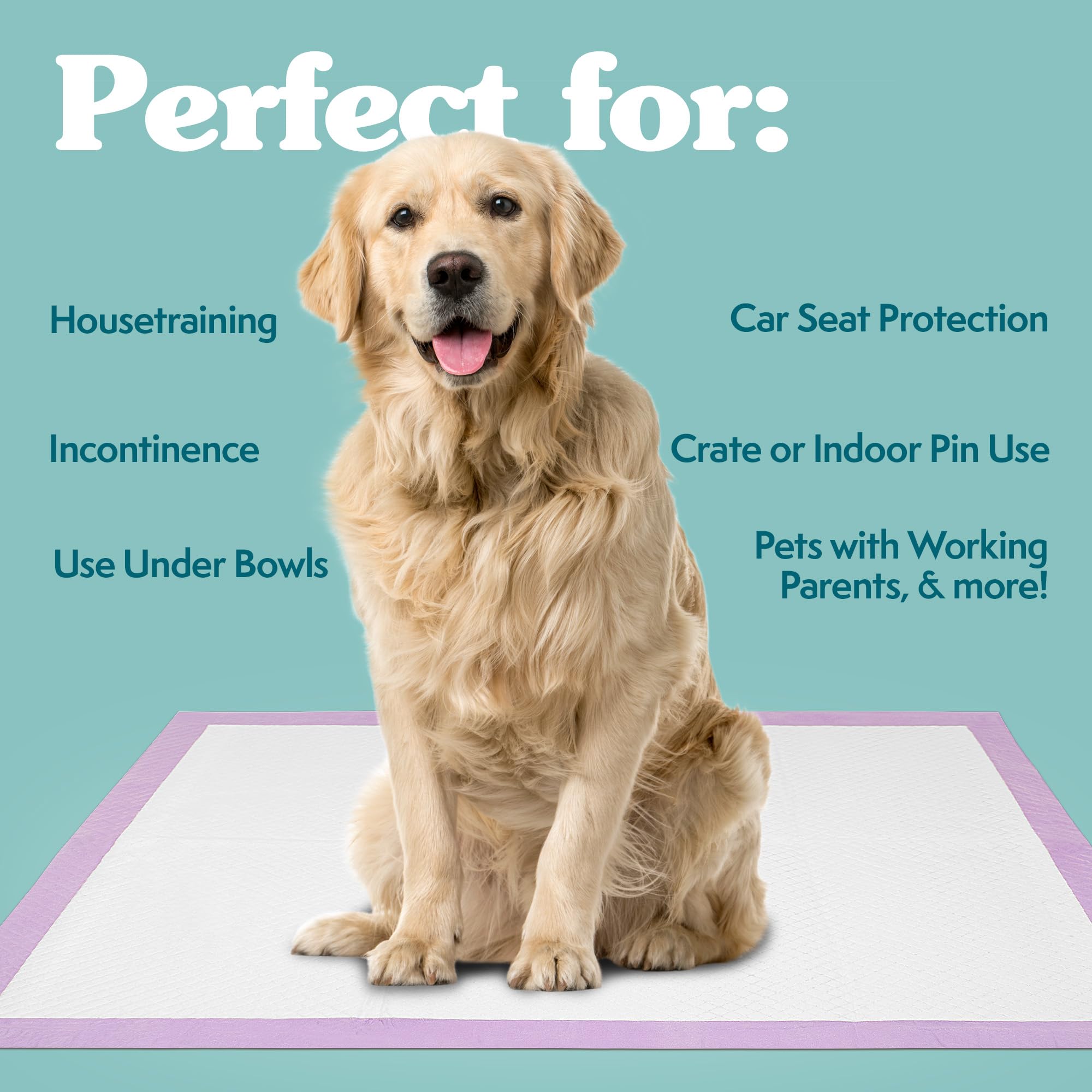 Simple Solution 6-Layer All Day Premium Dog Pads | Lavender Scent | 23 X 24 100 Pads