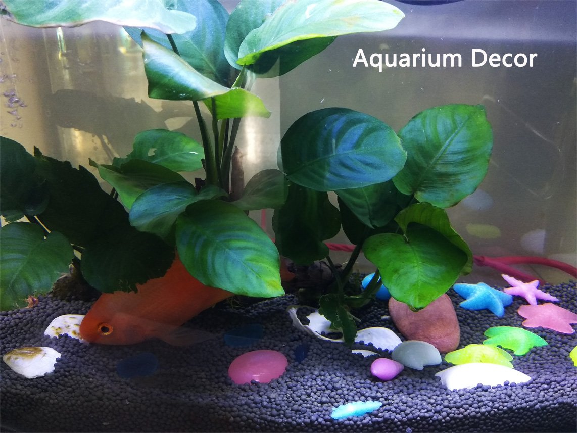 Springsmart Aquarium Rocks, Can Glow In The Dark After Daily Exposure To Light, Cute Sea Item Shaped Decor Stones For Fish Bowl, Garden, Ponds, Handmade Crafts, Non-Toxic Colorful Fish Tank Substrate