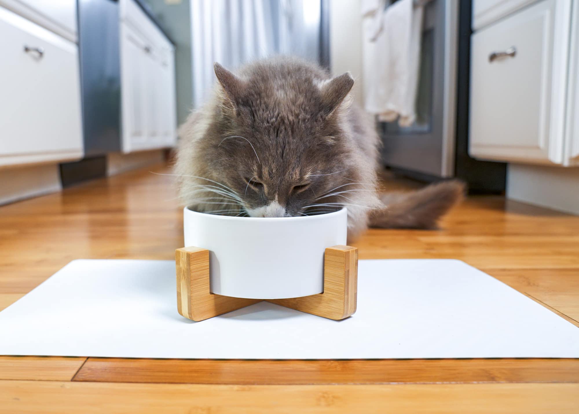 Nat & Jules Small White 6 Inch Stoneware Ceramic And Wood Pet Bowl With Stand