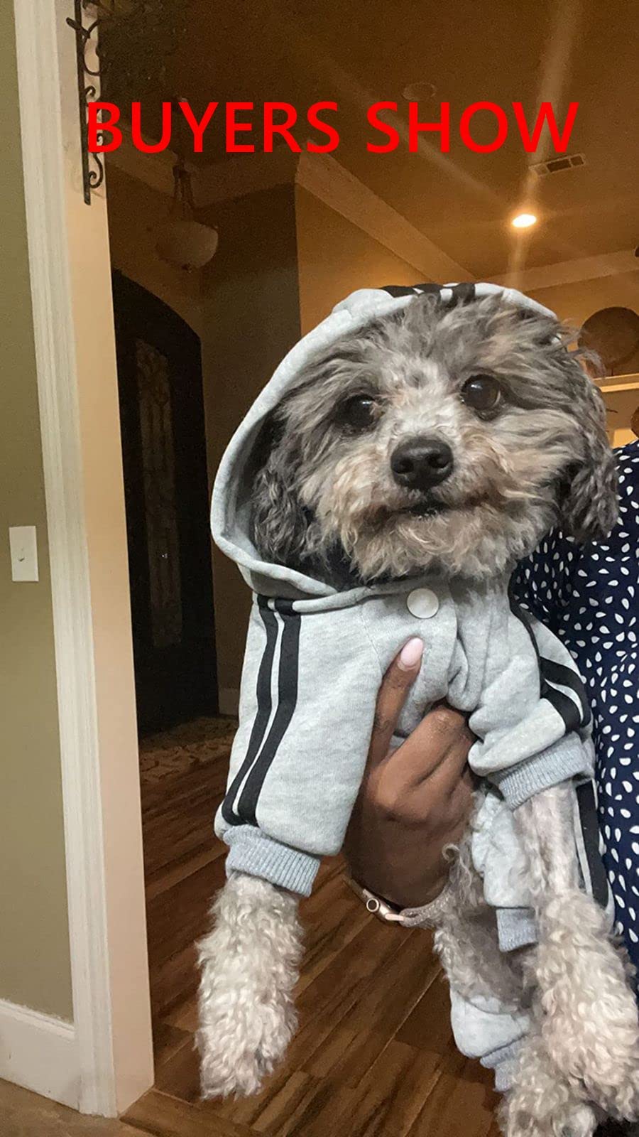 Otunrues Dog Hoodies, Pet Dog Clothes Pullover 4 Legs Jumpsuit Sweatshirt Security Patterns Outfit Doggie Winter Coat Cotton Puppy Hoodied For Small Medium Large Dogs Cats(Gray,S)