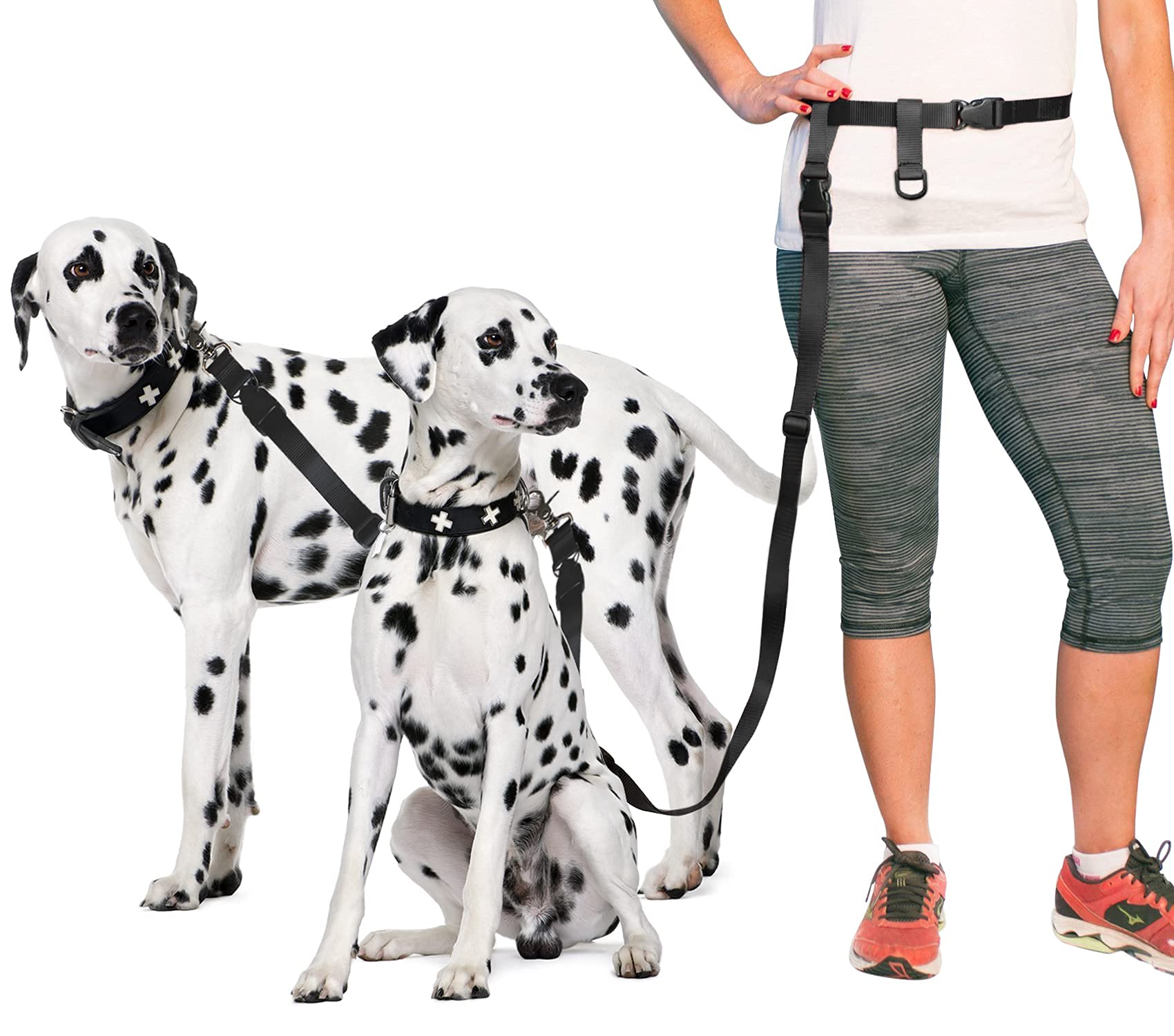 The Buddy System Accessories For Our Dog Leashes Made In Usa (Double Buddy, Regular Dog Black)
