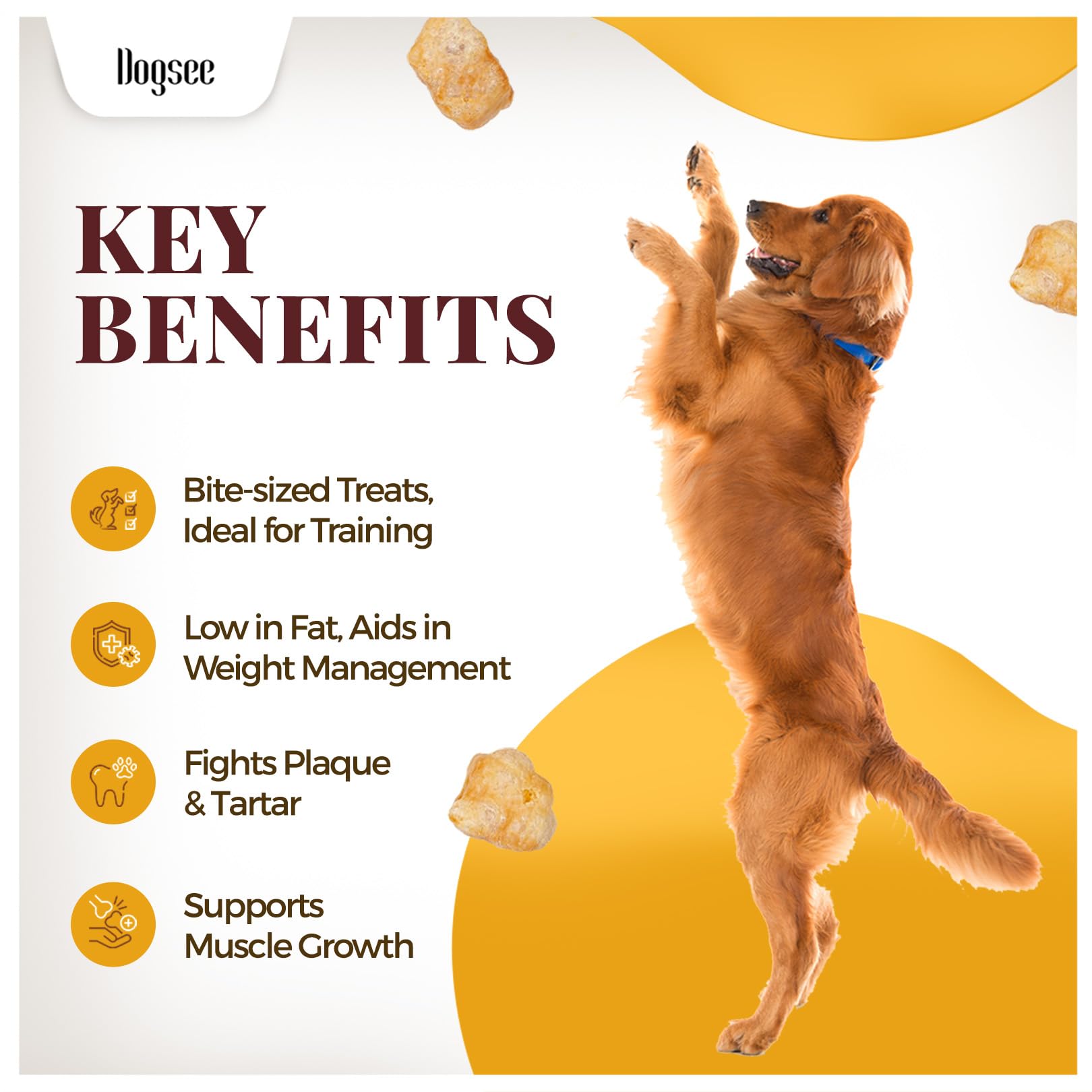 Dogsee Chew Mini Pops for Dogs and Puppies - Turmeric | Dental Treats | High Protein | Low Fat | Helps Fight Plaque & Tartar | W