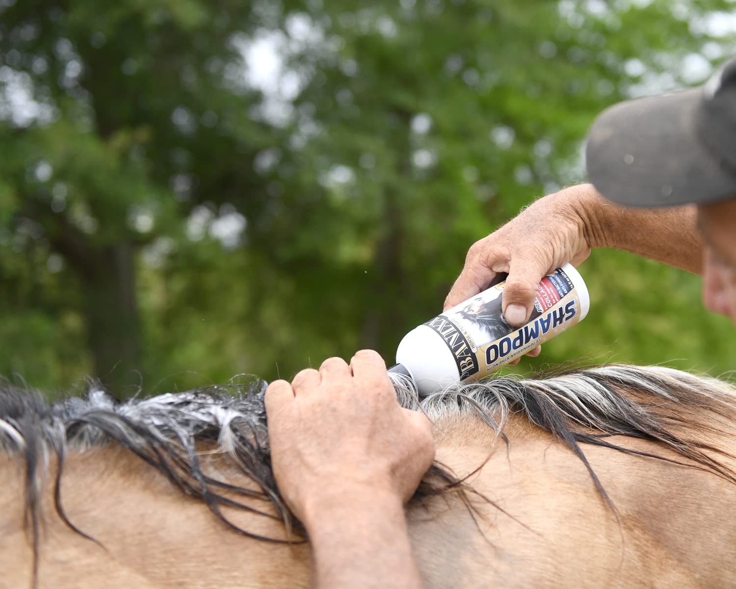 BANIXX Medicated Shampoo, 16 Fl. Oz - Soap-Free Marine Collagen for Pet Skin Yeast Infections, Ringworm, Dermatitis, Itchy Skin