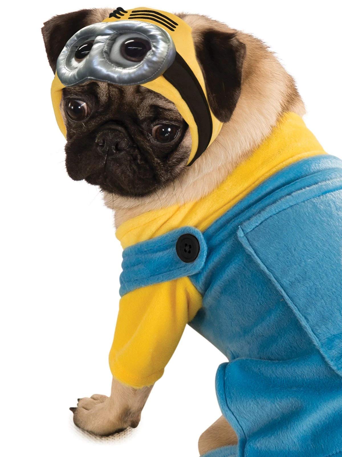 Rubies Despicable Me 2 Minion Pet Costume, Large For Themed Parties And Halloween