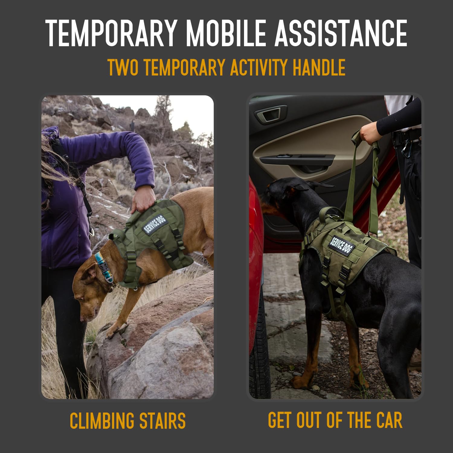 Dnallrino Service Dog Vest For Large Dog, Military Mesh Breathable Lift Harness With Molle Vest With 39G Metal Buckle For Traini