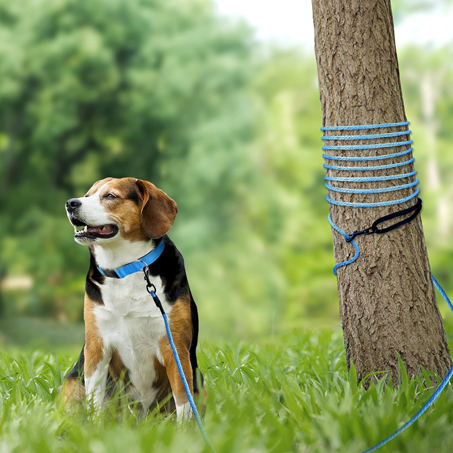 Joytale Long Dog Training Leash, 33 Ft Tie Out Rope Check Cord Dogs Leashes With Padded Handle, Reflective Recall Lead For Puppy And Small Dogs, Blue