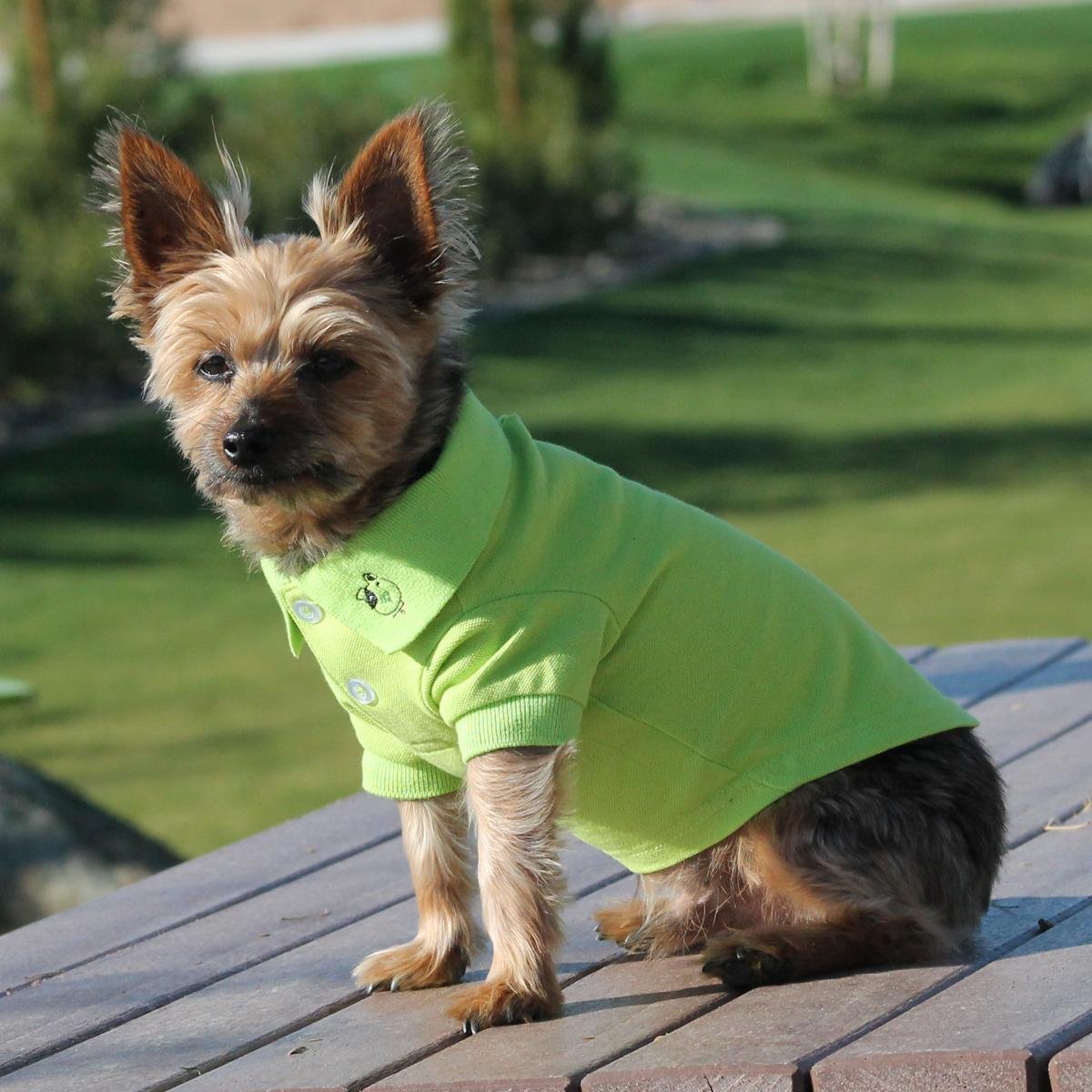 Doggie Design Solid Dog Polo Shirt (Green Flash, L)
