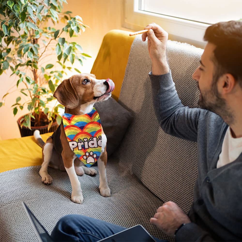 Alibbon 2 Pcs Gay Pride Dog Bandanas, Lgbt Rainbow Bandanas For Dogs, Claw Print Triangle Pet Scarves Bibs For Pride Month, Star
