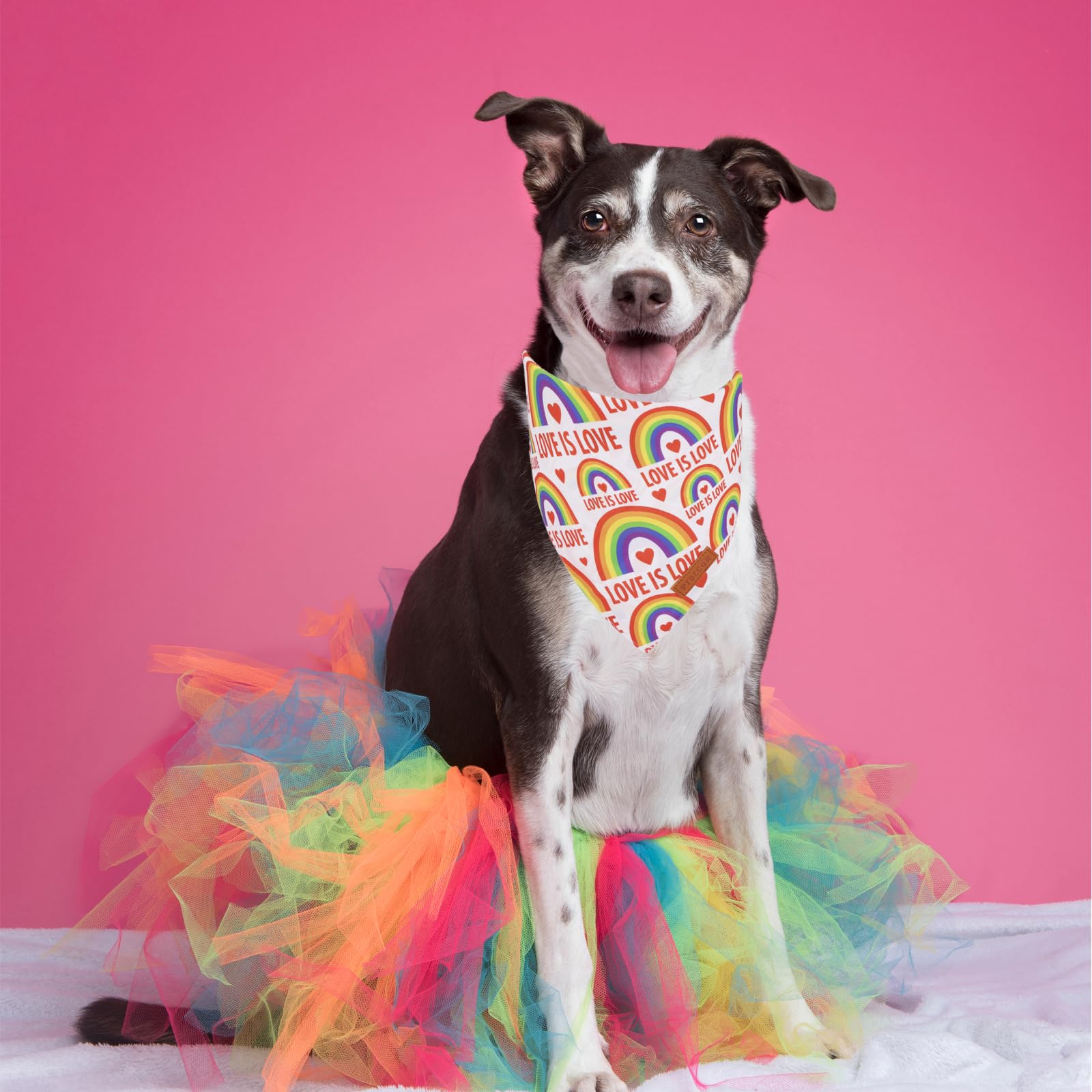 Ptdecor Rainbow Dog Bandanas Pride Day, Multi Size,Love Is Love    Pet Scarf Reversible Triangle Lgbt+ Rainbow Bandanas For Larg