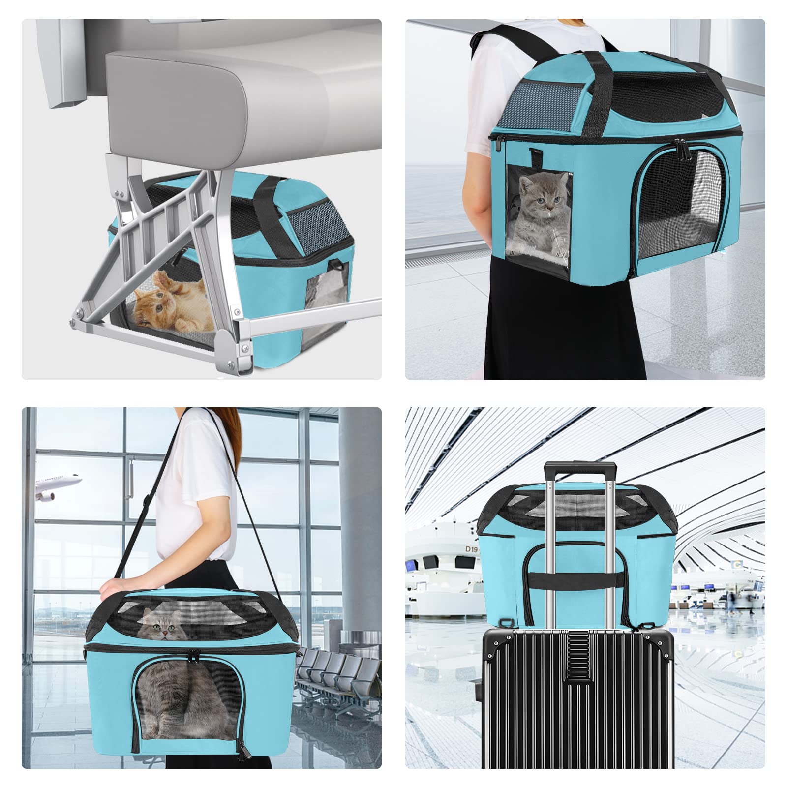 Bejibear Small Cat Carrier For 2 Cats, Oeko-Tex Certified Soft Side Pet Carrier For Cat, Small Dog, Collapsible Travel Small Dog Carrier, Tsa Airline Approved Cat Carrier For Medium Cats 20 Lbs (Blue)
