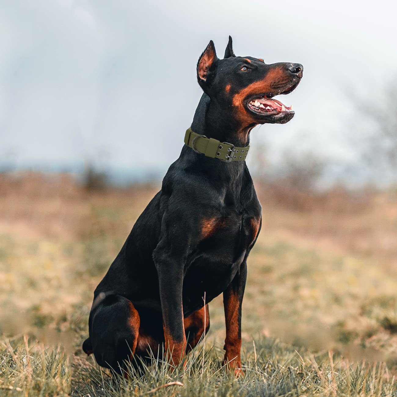 Tactical Dog Collar Military Adjustable Dog Collars Soft Nylon K9 Training Collar With Patch Heavy Duty Metal Buckle Collars For