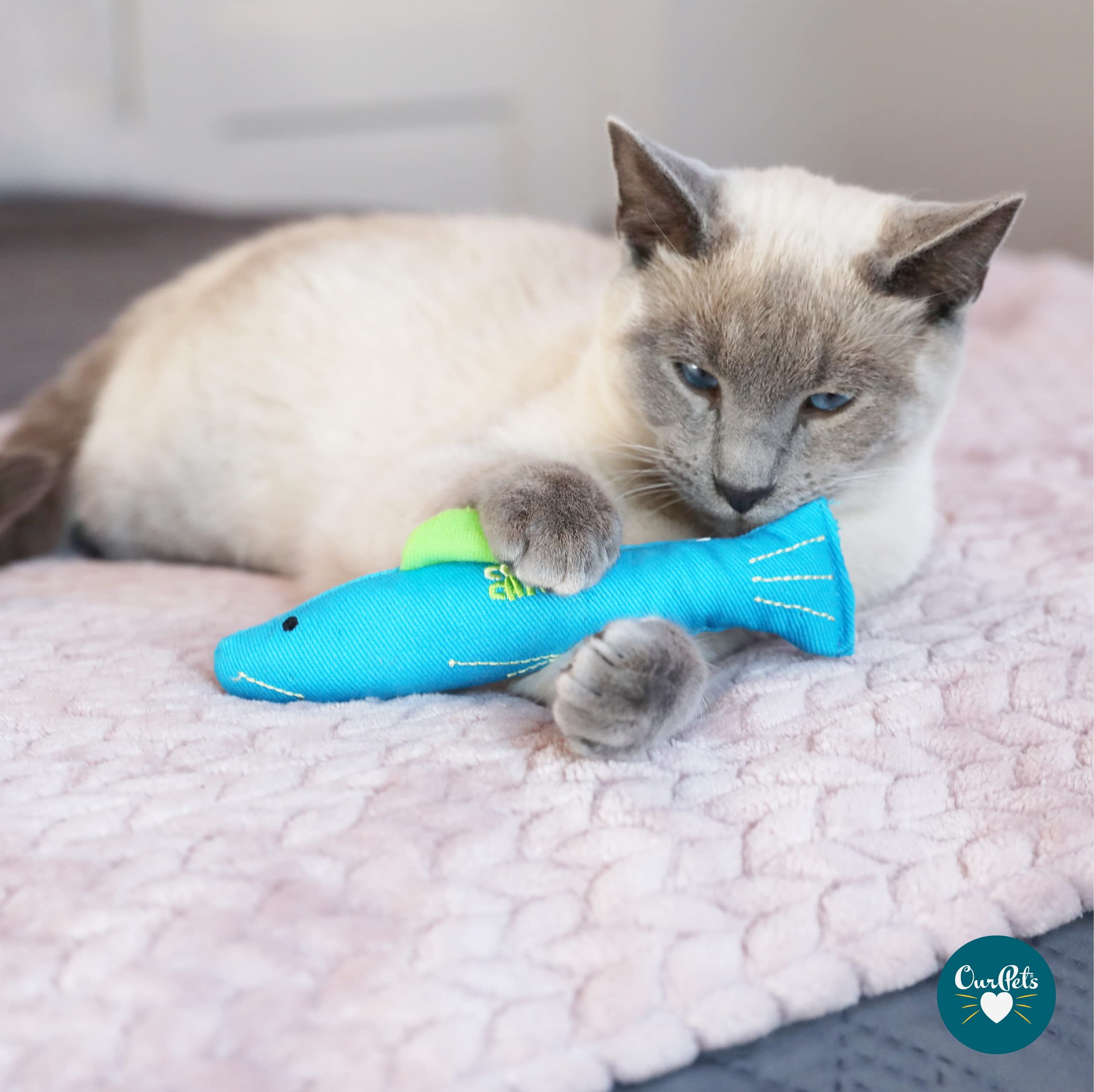 Our Pets 100-Percent North American Catnip Filled Fish Cat Toy (Interactive Cat Chew Toy), Annette (1050011546) -Like New