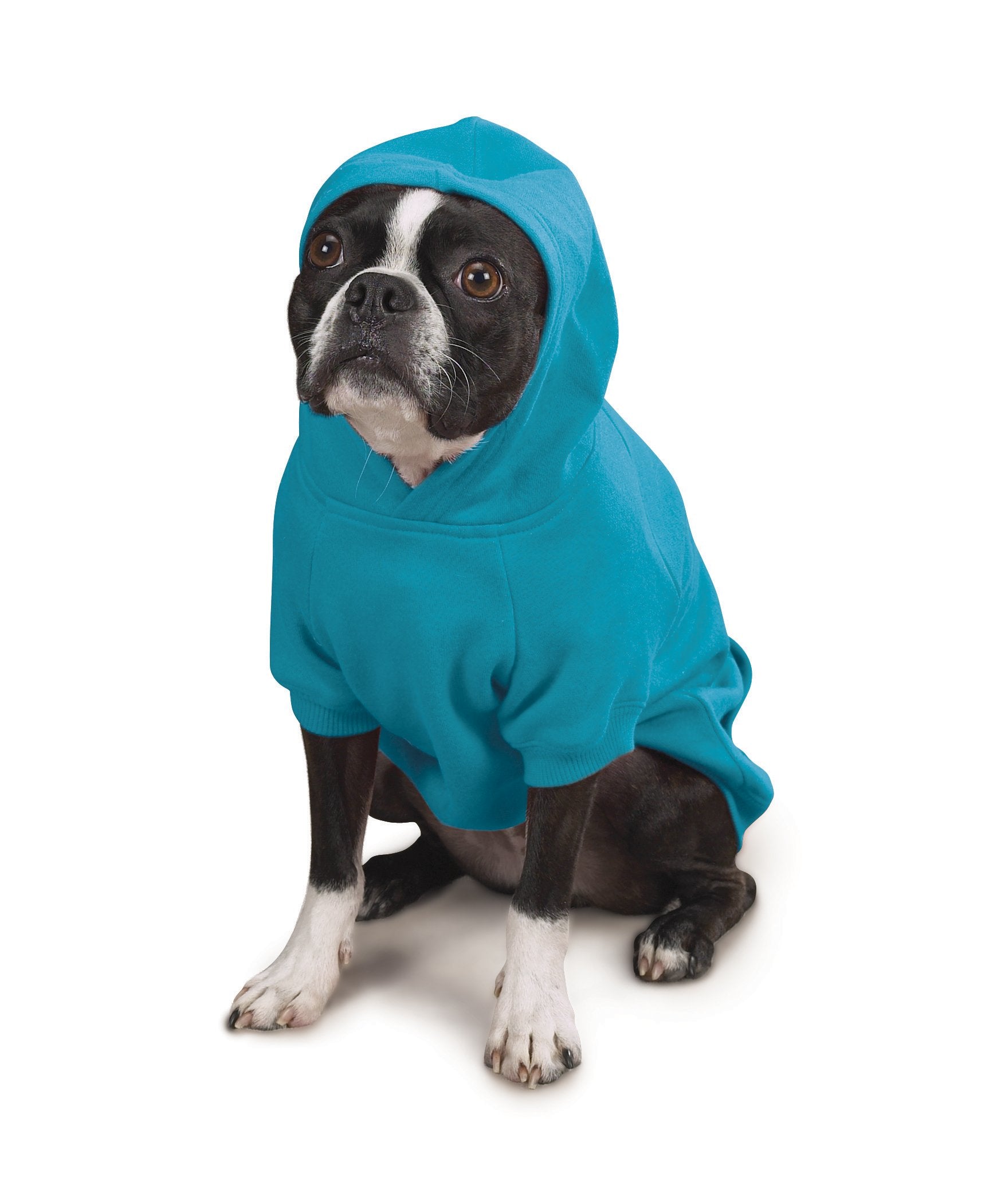 Zack & Zoey Basic Hoodie For Dogs, 24' X-Large, Bluebird