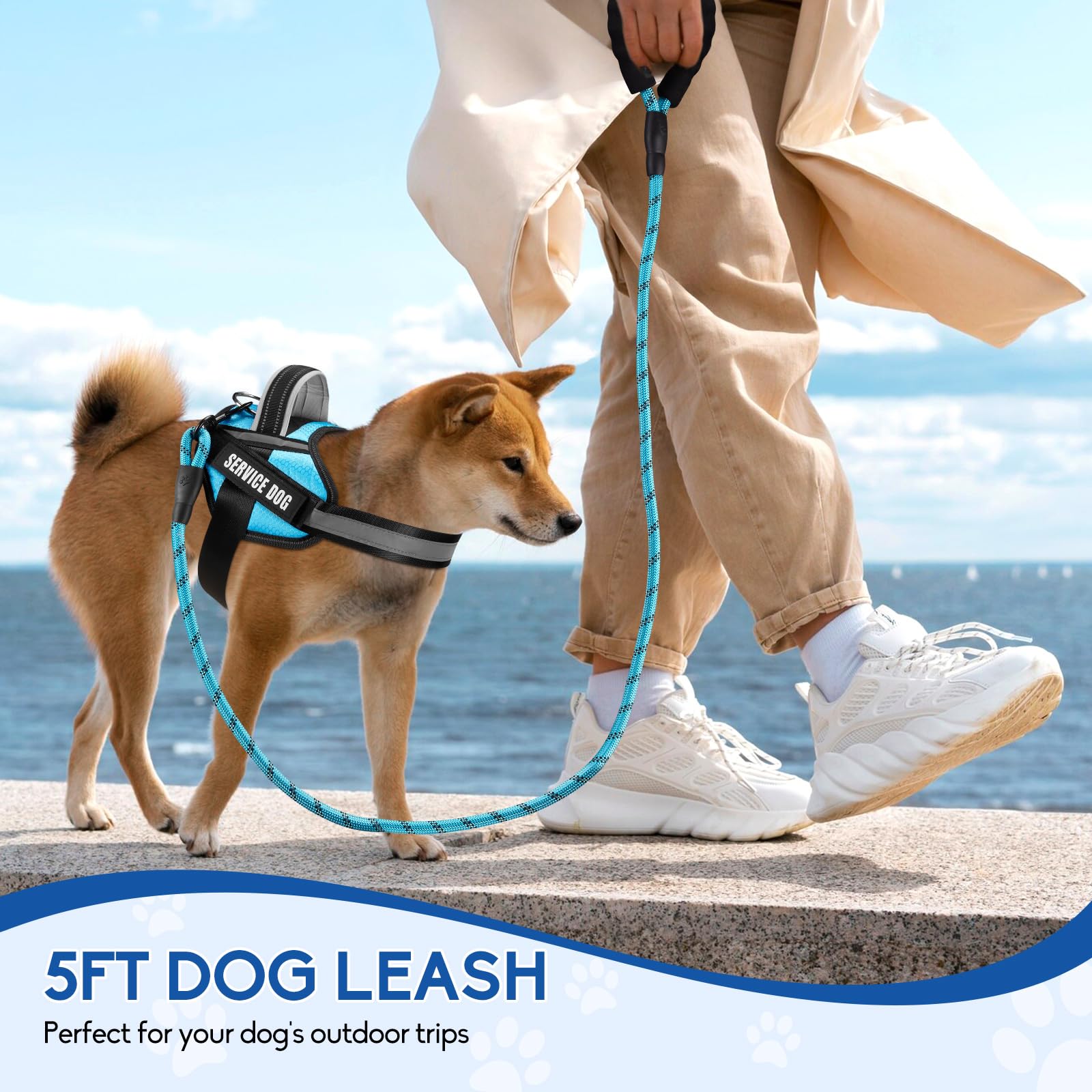 Animire Service Dog Harness (Medium, Light Blue) With Reflective Strips, Leash, And 10 Patches, For Dog Training And Walking