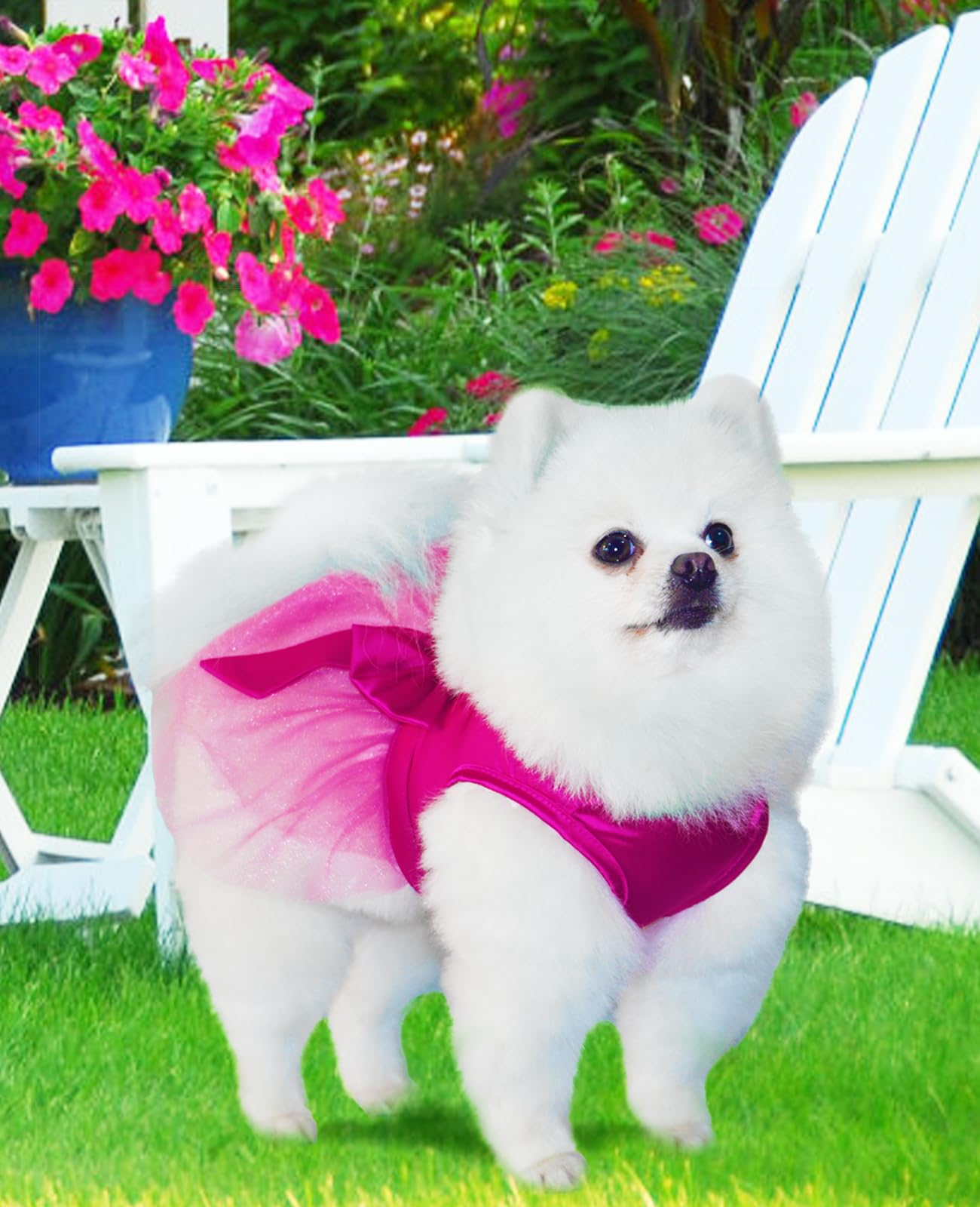 Topkins Summer Girl Dog Dress - Cute Princess Dresses With Bow, Lace Pet Birthday Party Outfit Tutu For Small Dogs