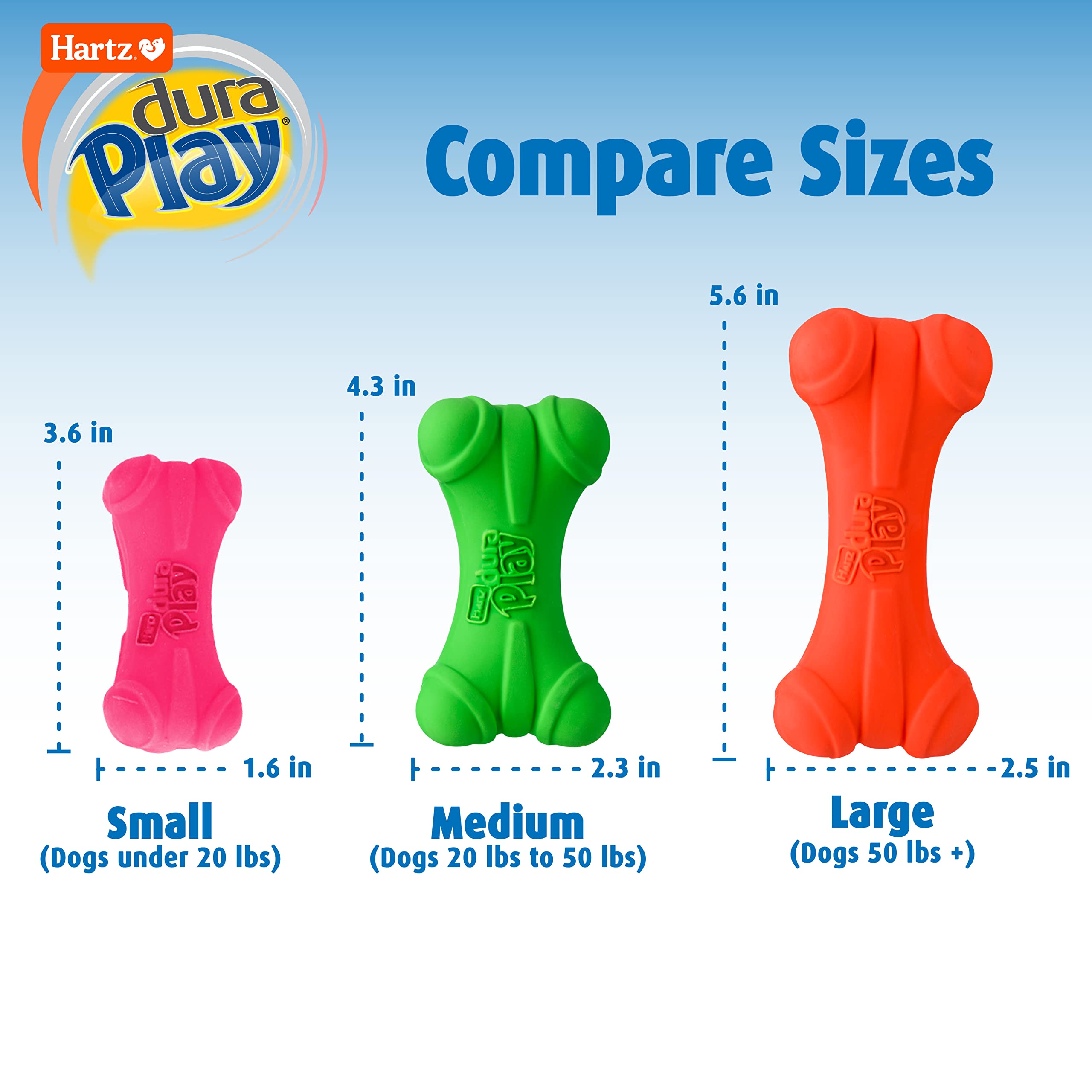 Hartz DuraPlay Bone Squeaky Dog Toy, Small, Natural Rubber, 3 Pack, Neon Green/Pink/Orange
