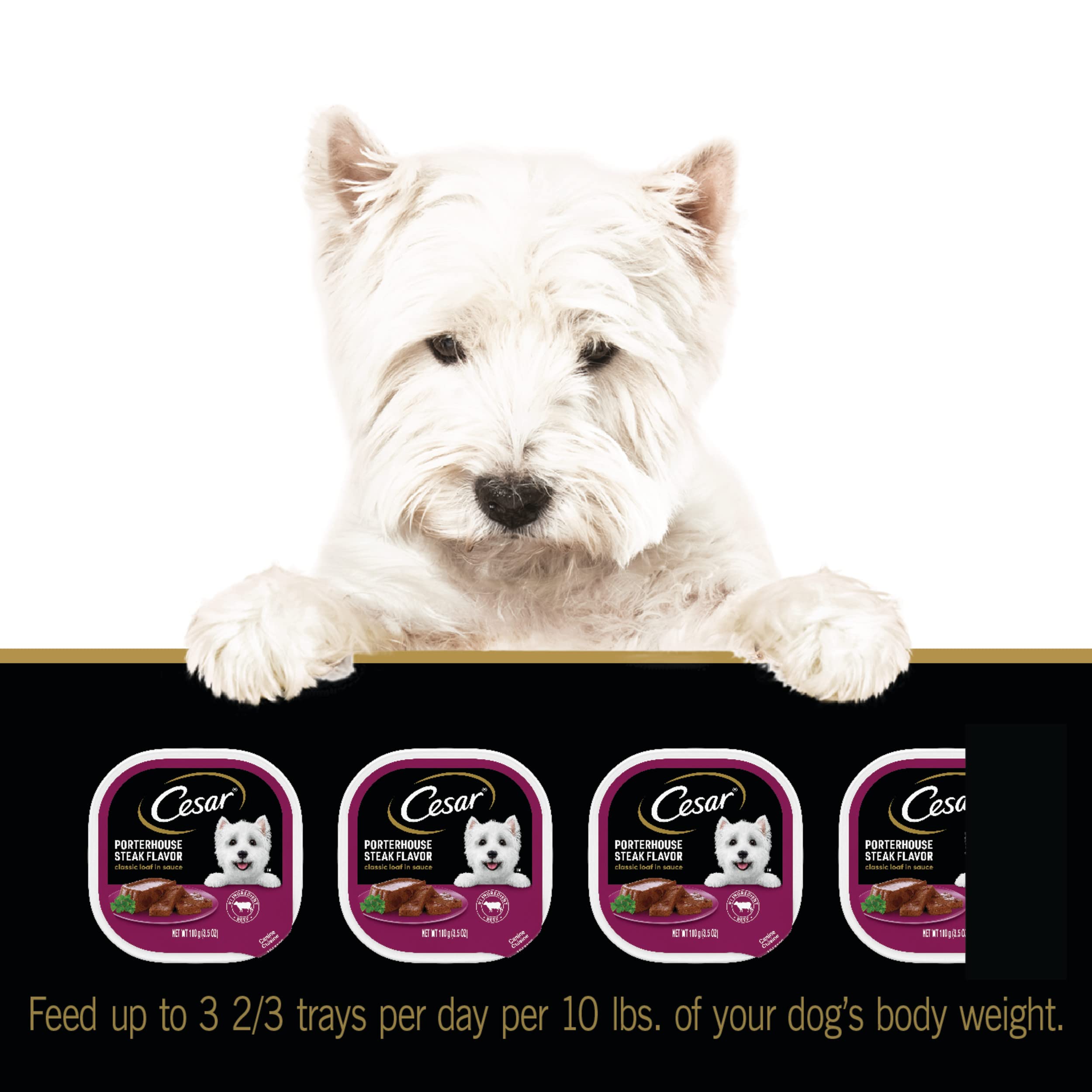 Cesar Wet Dog Food Classic Loaf in Sauce Porterhouse Steak Flavor, 3.5 oz. Easy Peel Trays (24 Count, Pack of 1)
