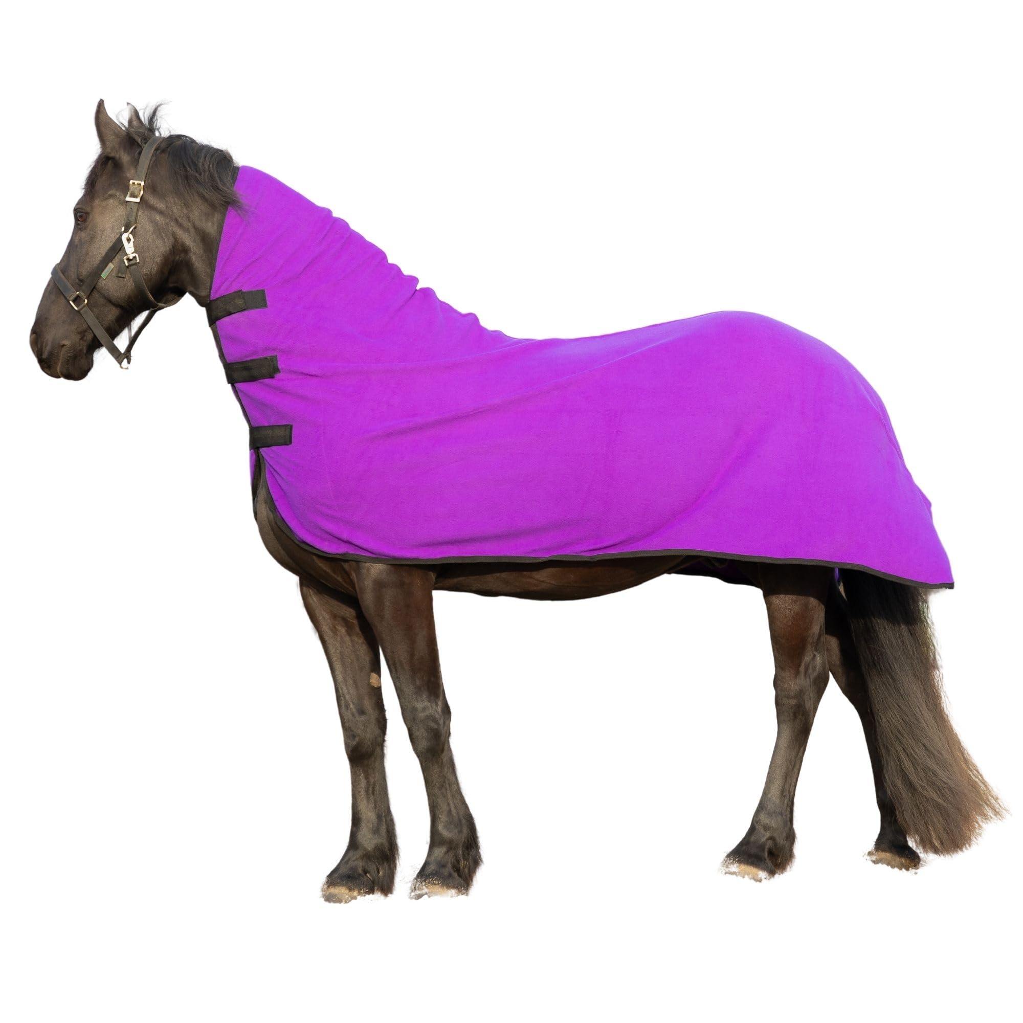 Resistance Long Lasting & Warm Soft Fleece Contour Cooler For Horse (Medium (68-72), Purple)