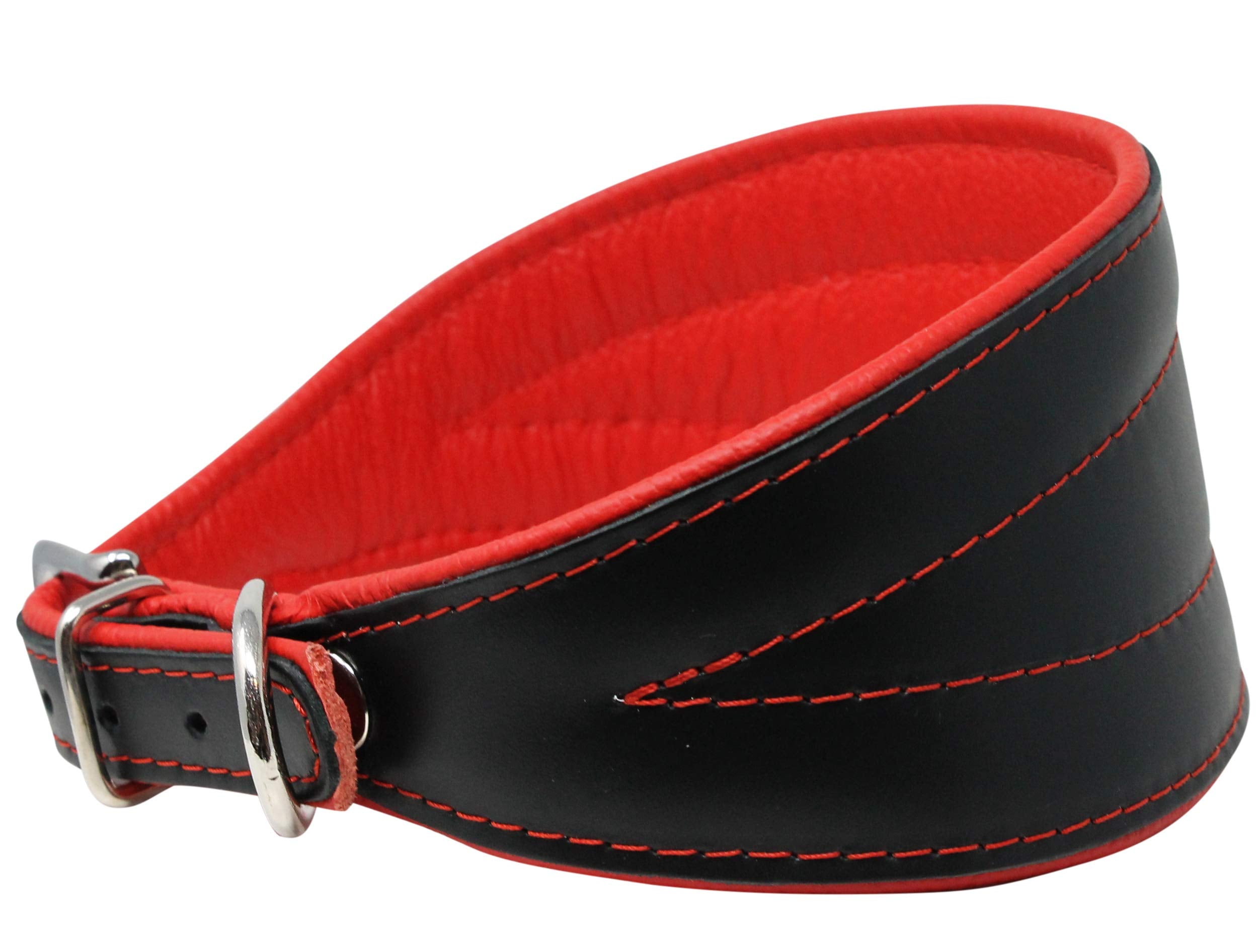 Real Leather Extra Wide Padded Tapered Dog Collar Glossy Black Greyhound Saluki Deerhound Lurcher Whippet Dachshund (11'-13' N
