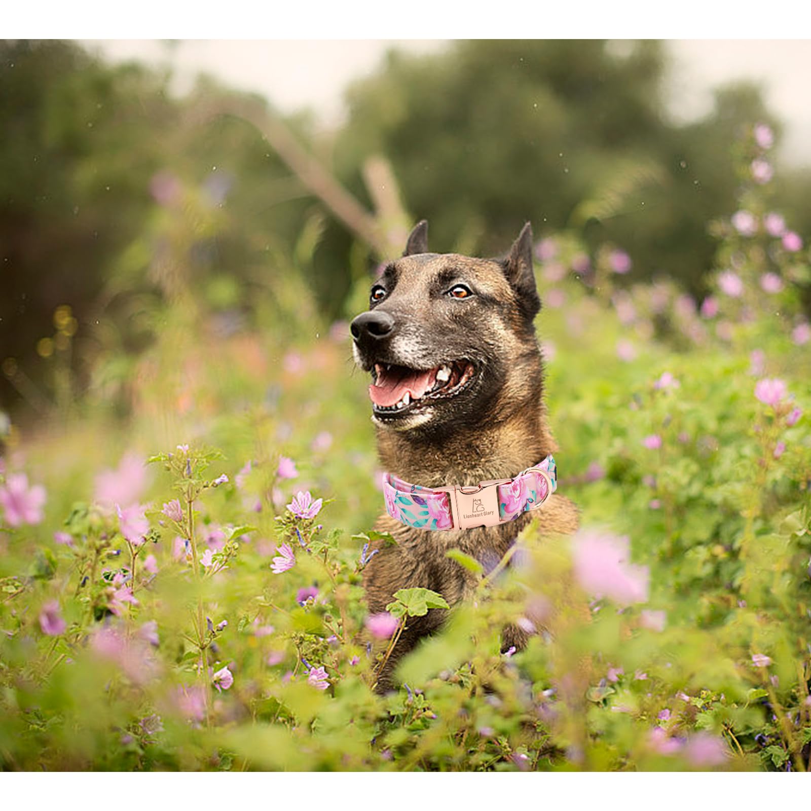Lionheart Glory Floral Rose Print Dog Collar Cute Dog Collars Spring Adjustable Soft Dog Collar Girl Pet Collars For X-Small Sma