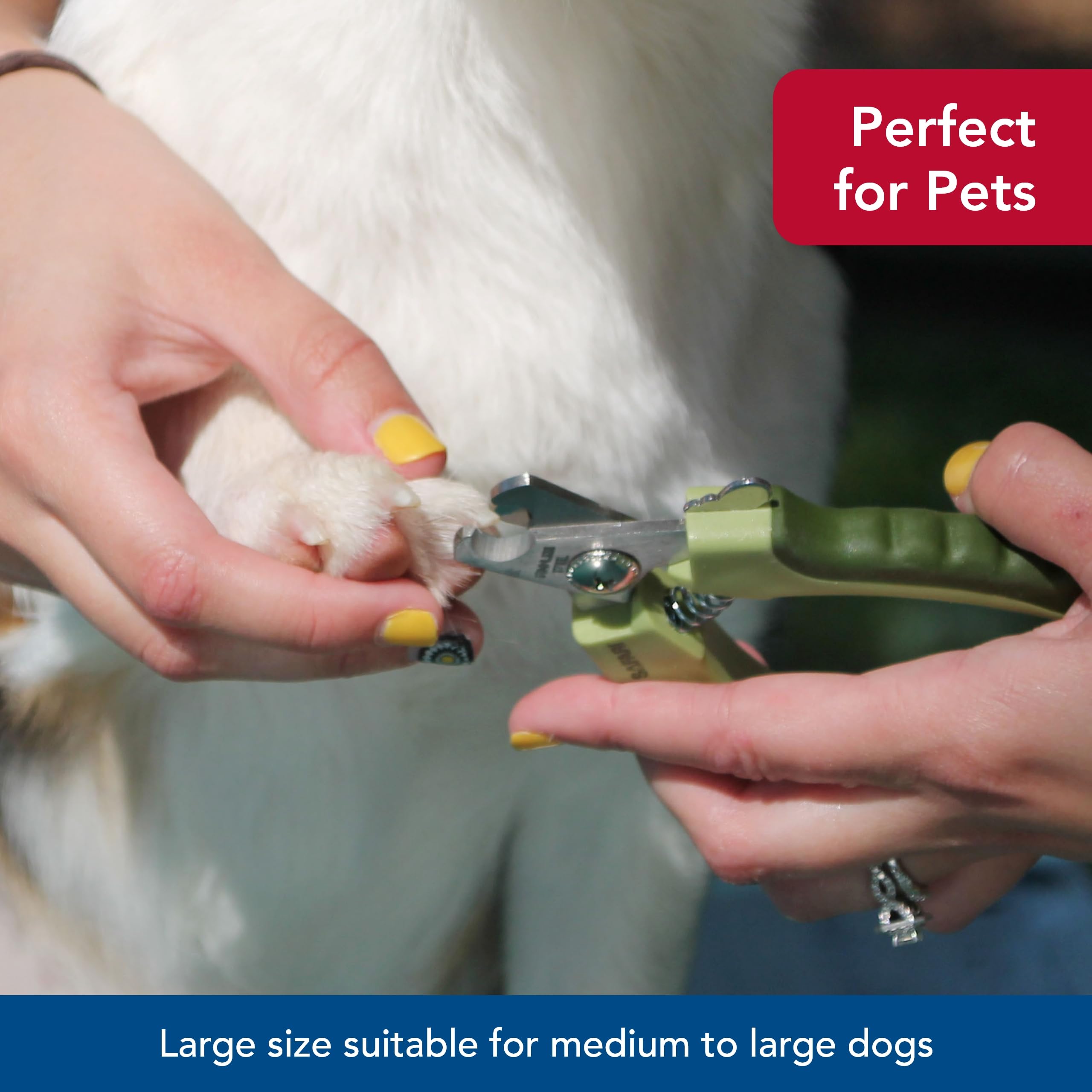 Safari Professional Stainless Steel Nail Clipper for Dogs
