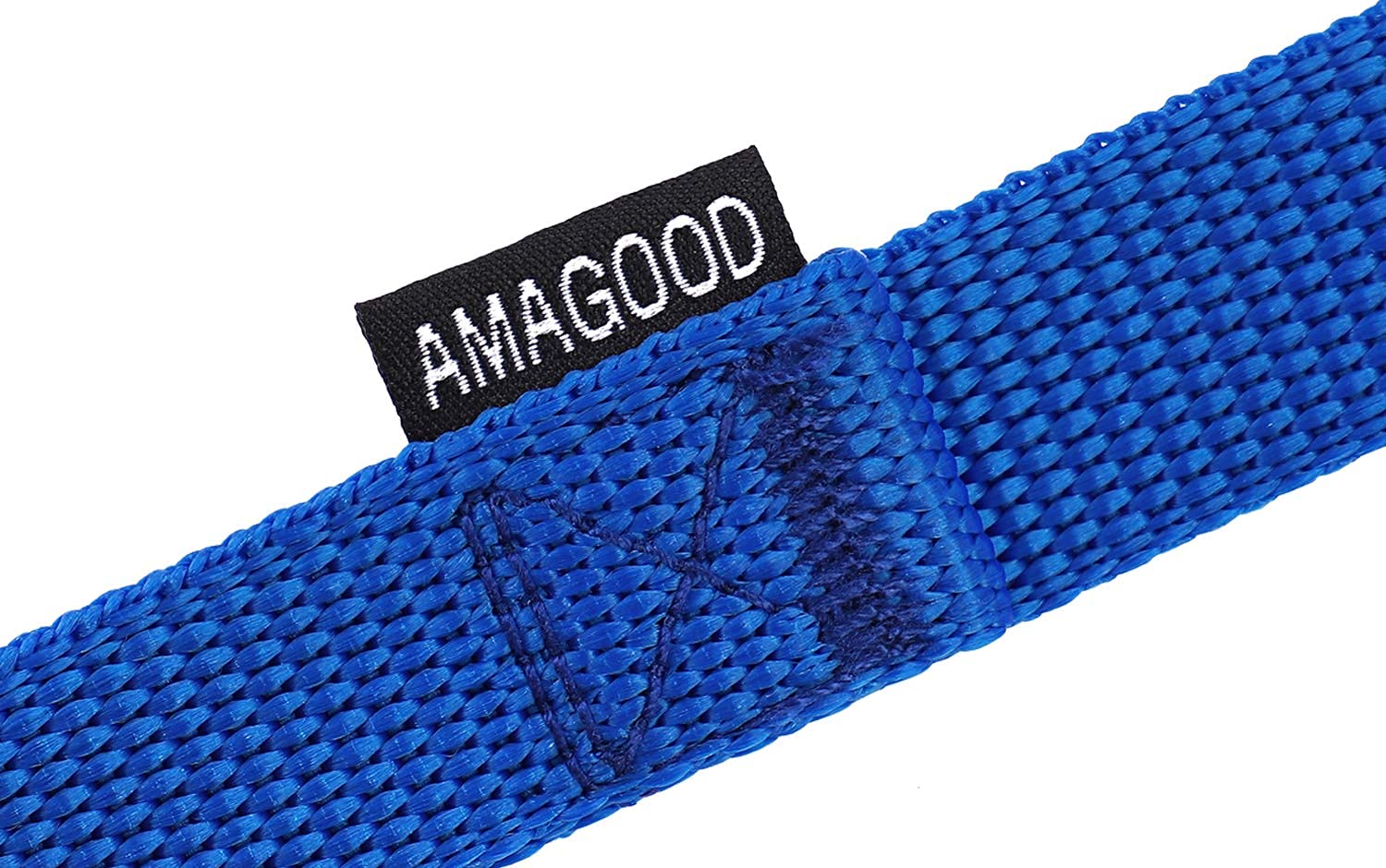 Amagood Dog/Puppy Obedience Recall Training Agility Lead-15 Ft 20 Ft 30 Ft 50 Ft Long Leash-For Dog Training,Tie Out,Play,Safety,Camping (50 Feet, Blue)