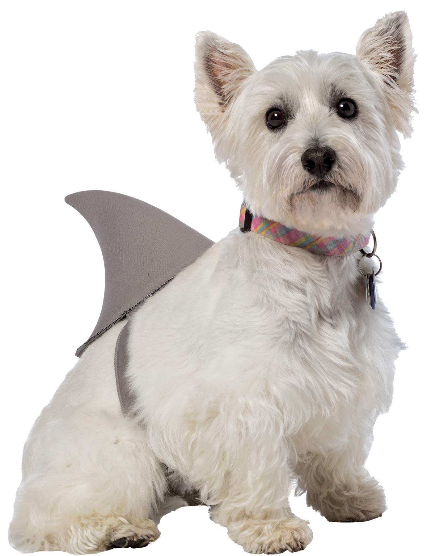 Rasta Imposta Shark Fin Dog Costume, Medium/Large