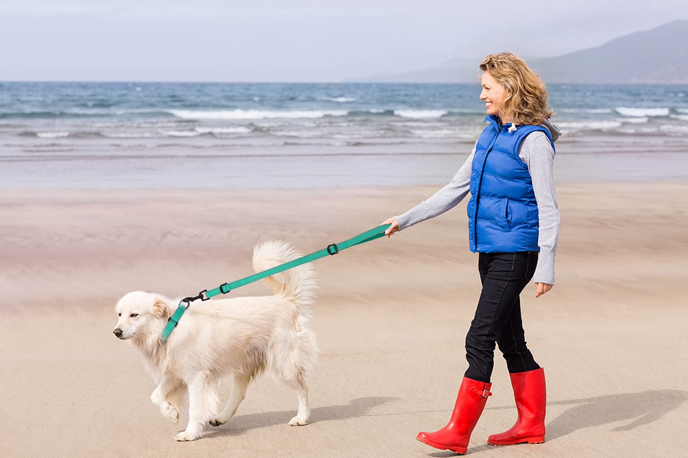 Martingale Dog Collar And Leash Set Martingale Collars For Dogs Reflective Martingale Collar For Small Medium Large Dogs(Mint Gr