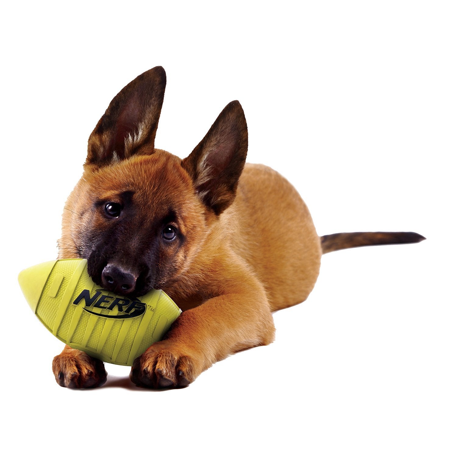 Nerf Dog Rubber Football Dog Toy With Squeaker, Lightweight, Durable And Water Resistant, 7 Inch Diameter For Medium/Large Breeds, Single Unit, Green, Model:6997