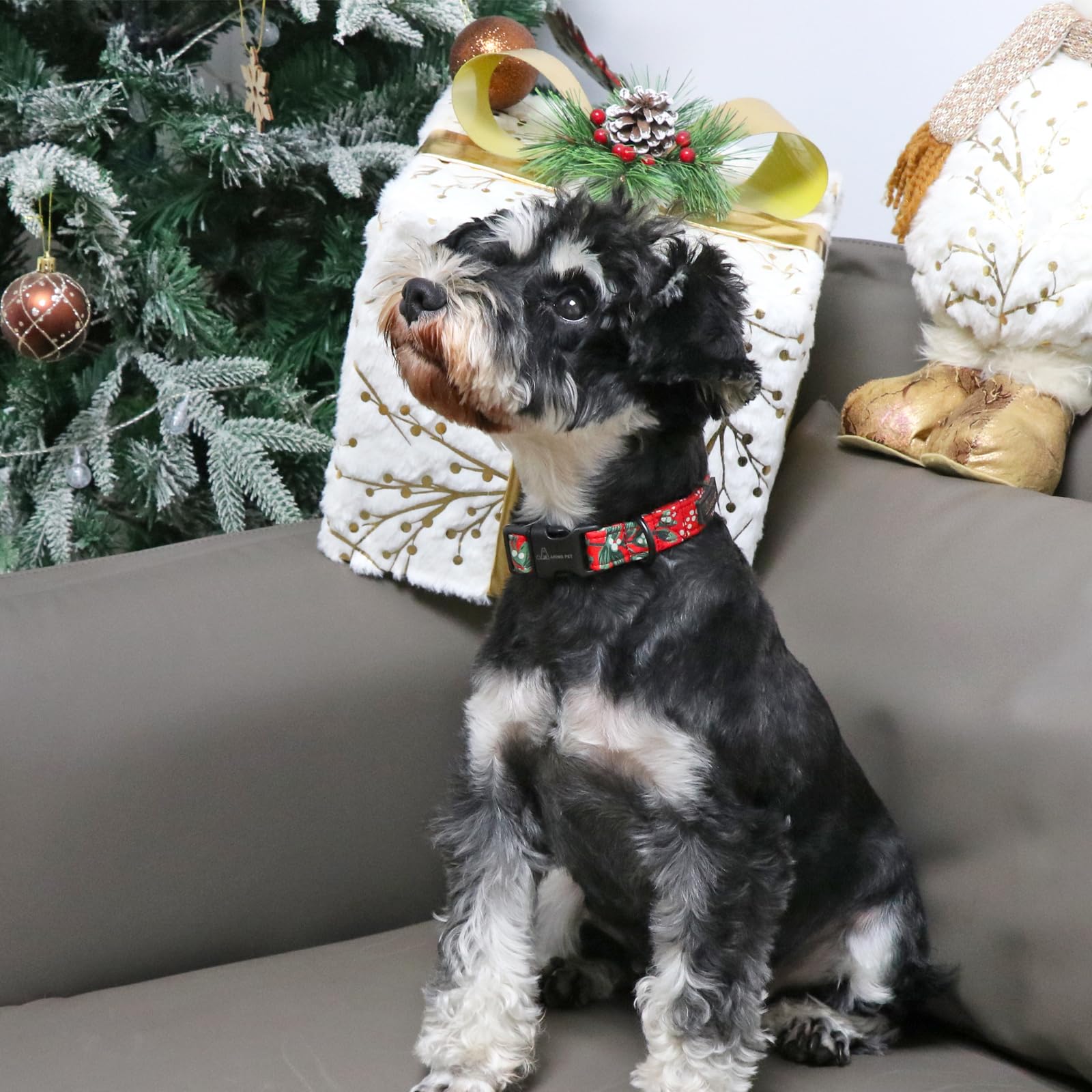 Aring Pet Christmas Dog Collar Cute Red Dog Collar, Adjustable Cotton Christmas Small Dog Collars Puppy Collar For Small Medium