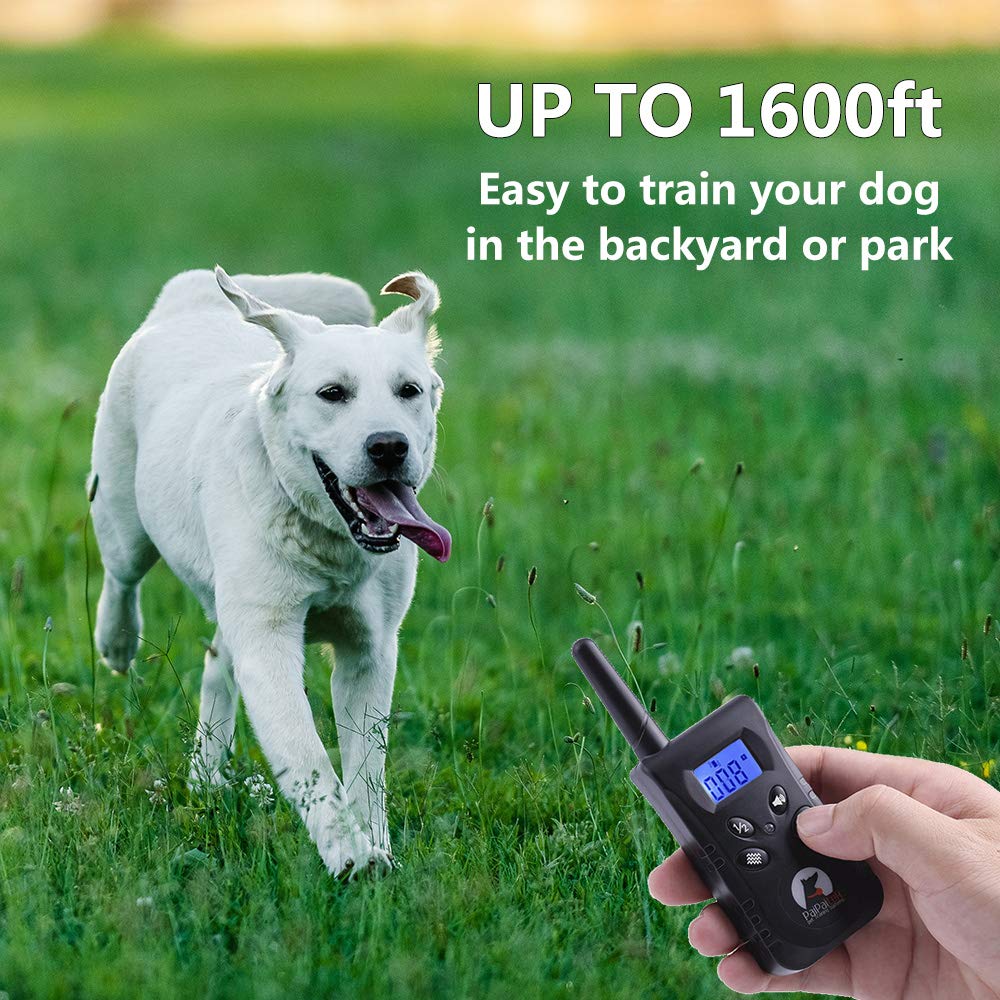 Paipaitek No Shock Dog Training Collar With Remote, Lightest Vibration Collar For Small Dogs 5-15Lbs & Medium Large Dogs, Rechar
